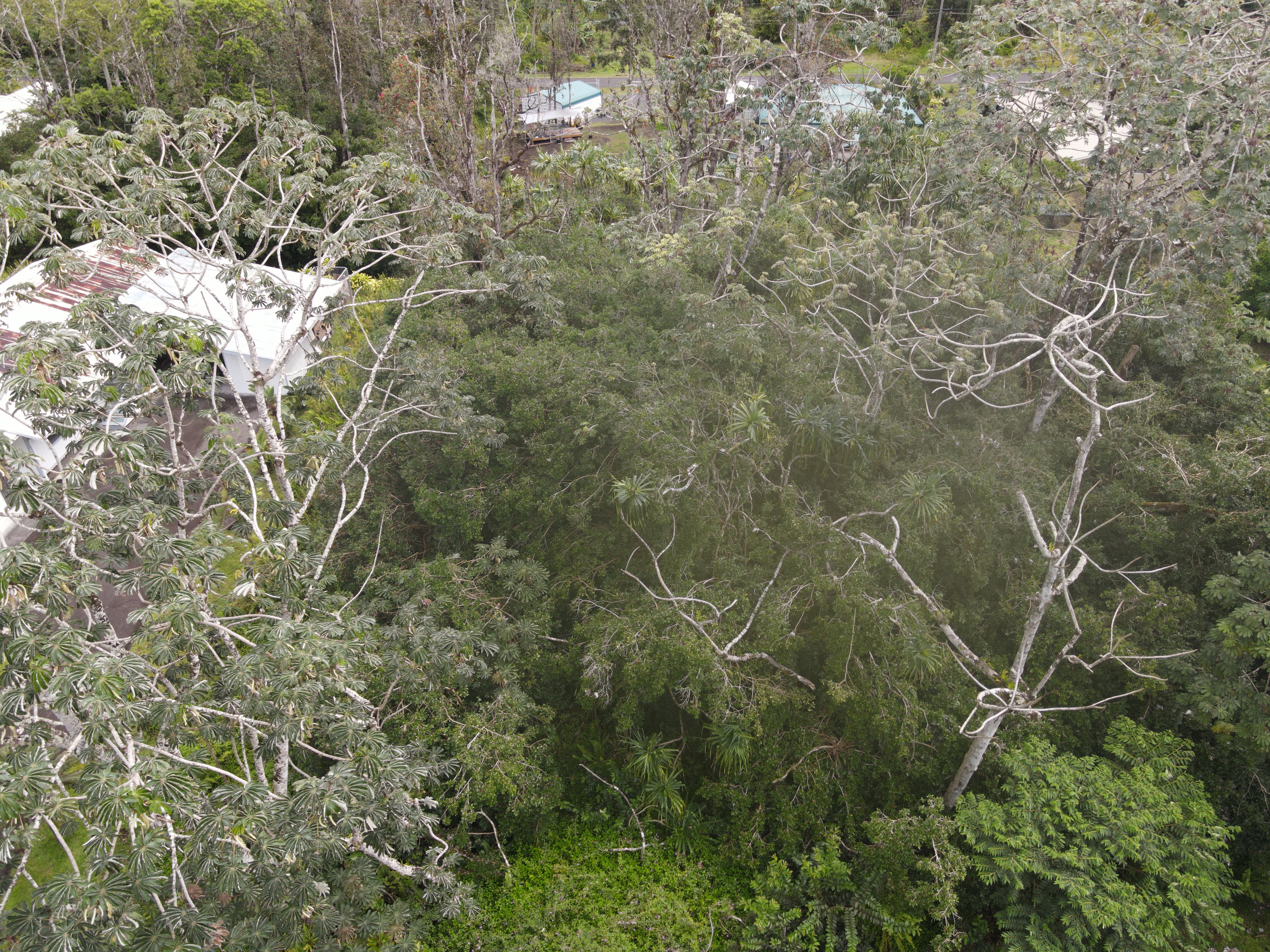 Moana St Property Photo 5