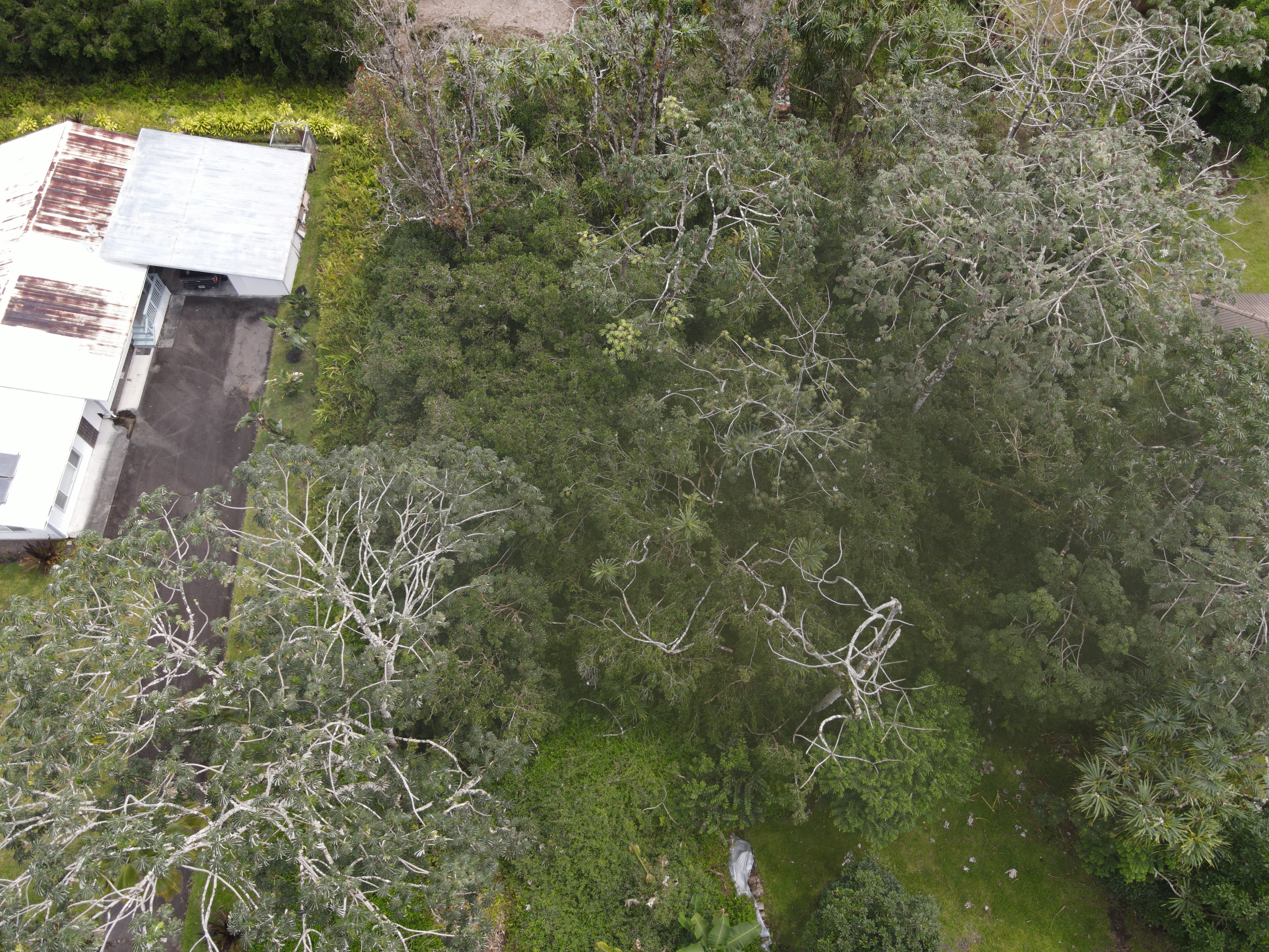 Moana St Property Photo 6