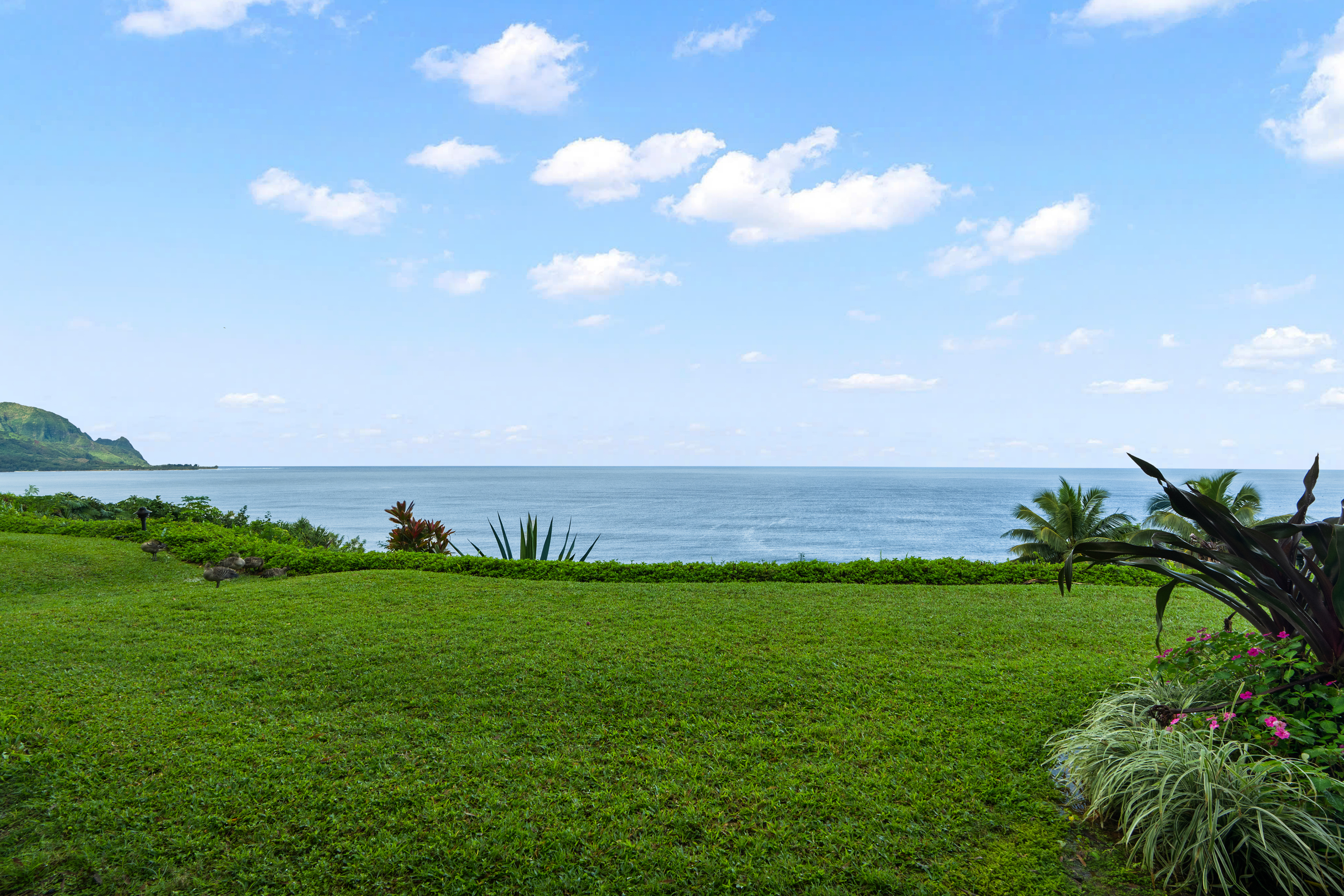 5300 Ka Haku Rd 119 Property Photo 3