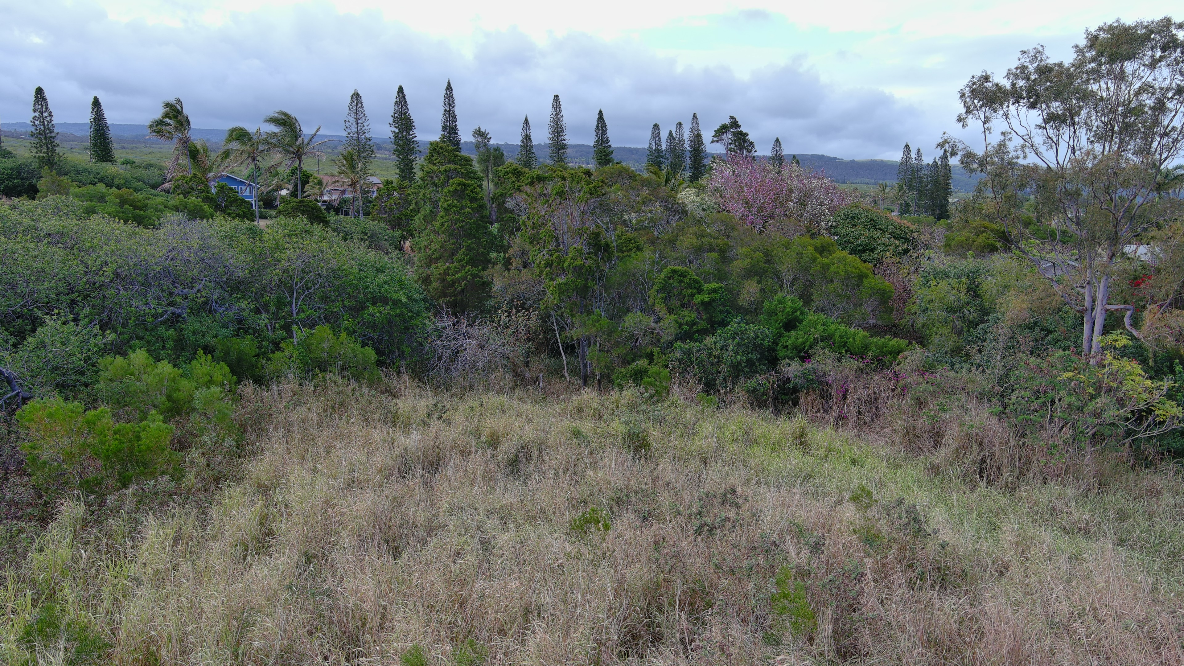 94-5850 Waa Pl Property Photo 9