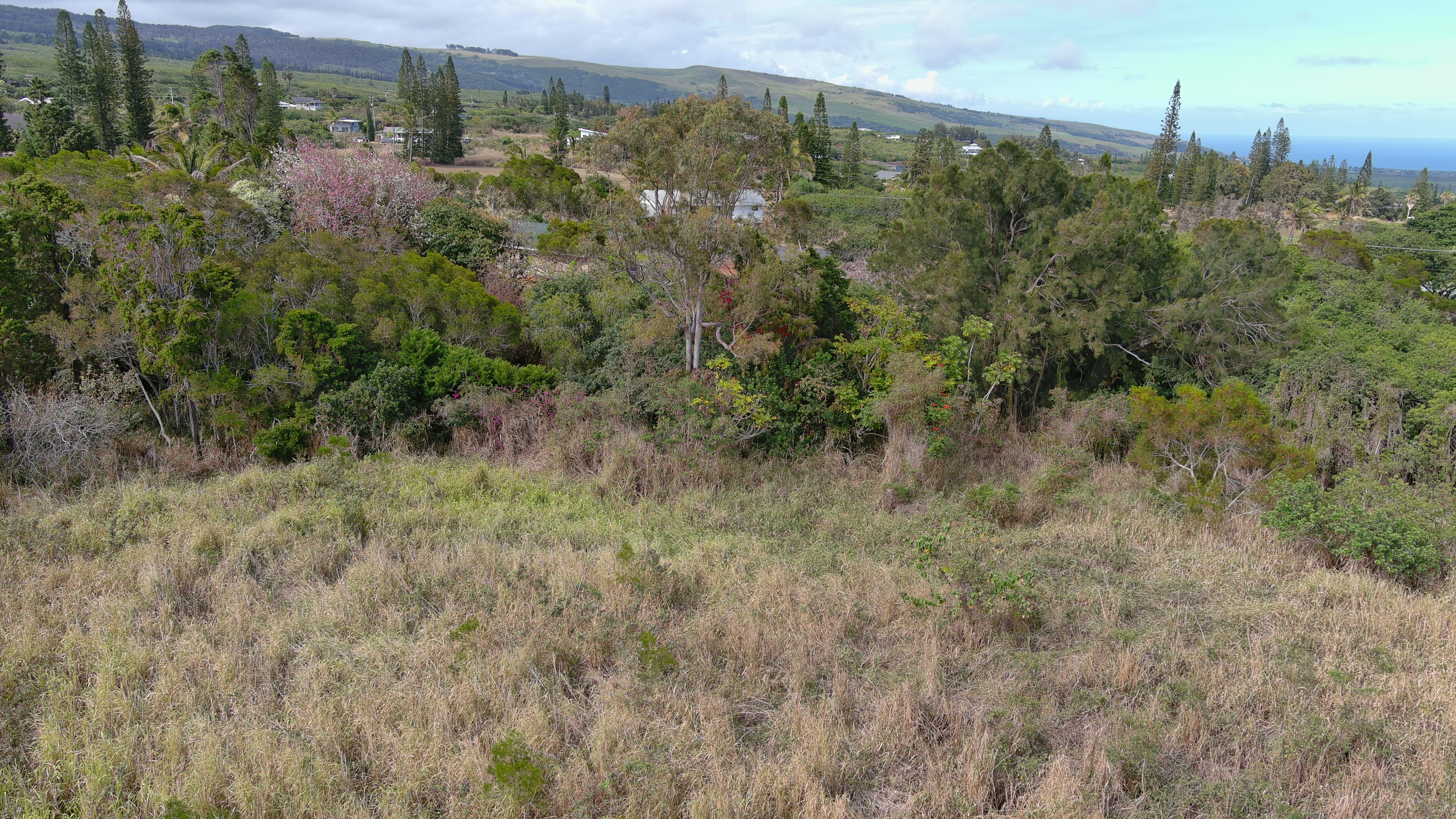 94-5850 Waa Pl Property Photo 21
