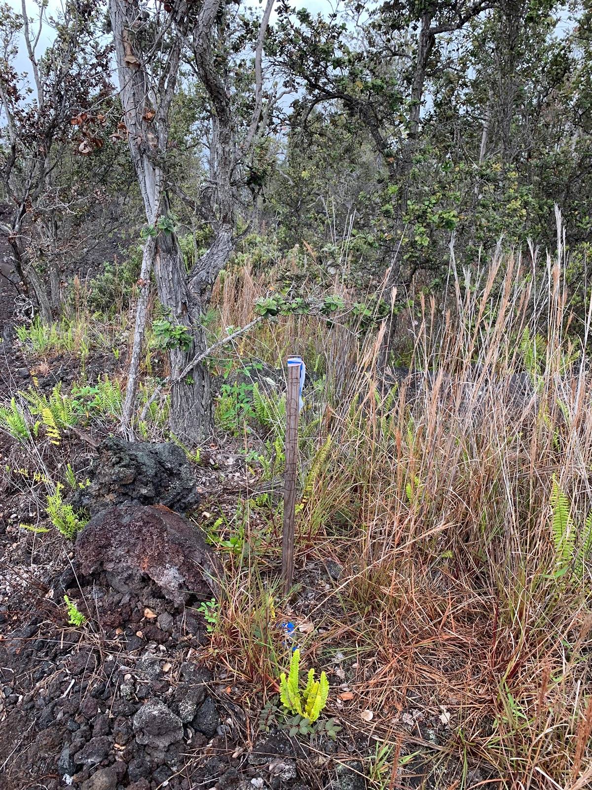 Hawaii Blvd Property Photo 2