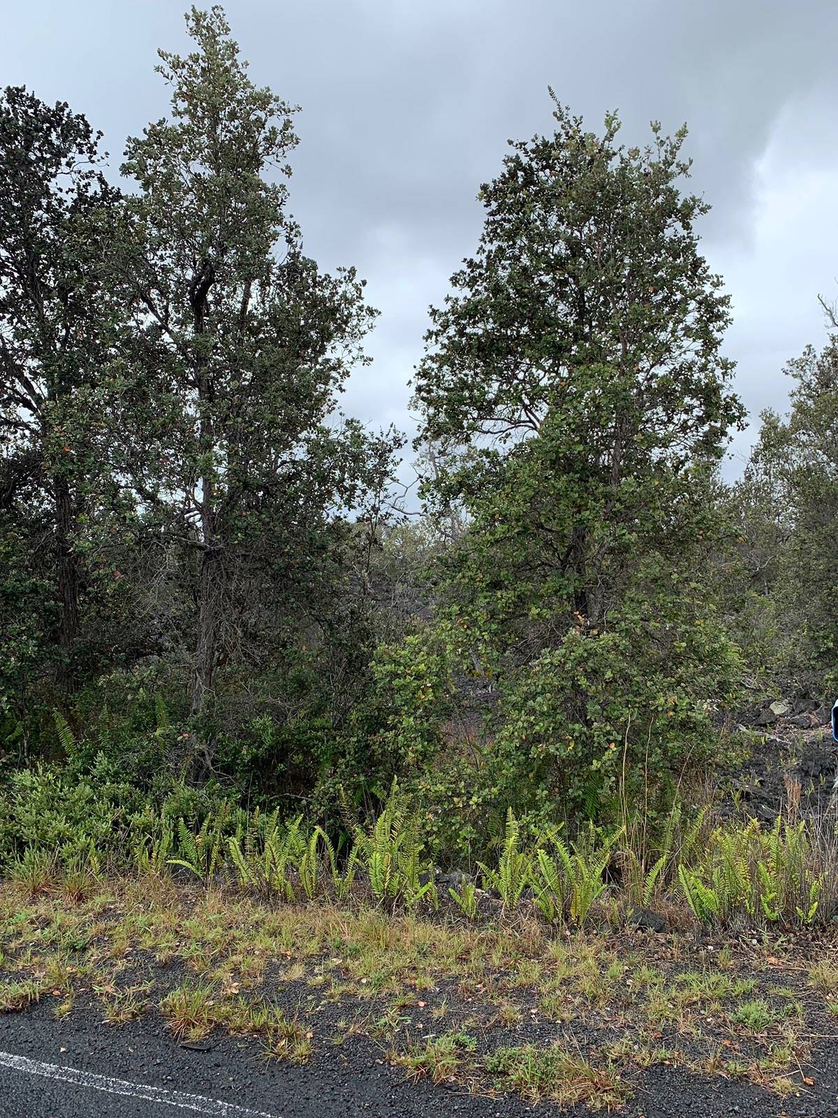 Hawaii Blvd Property Photo 3