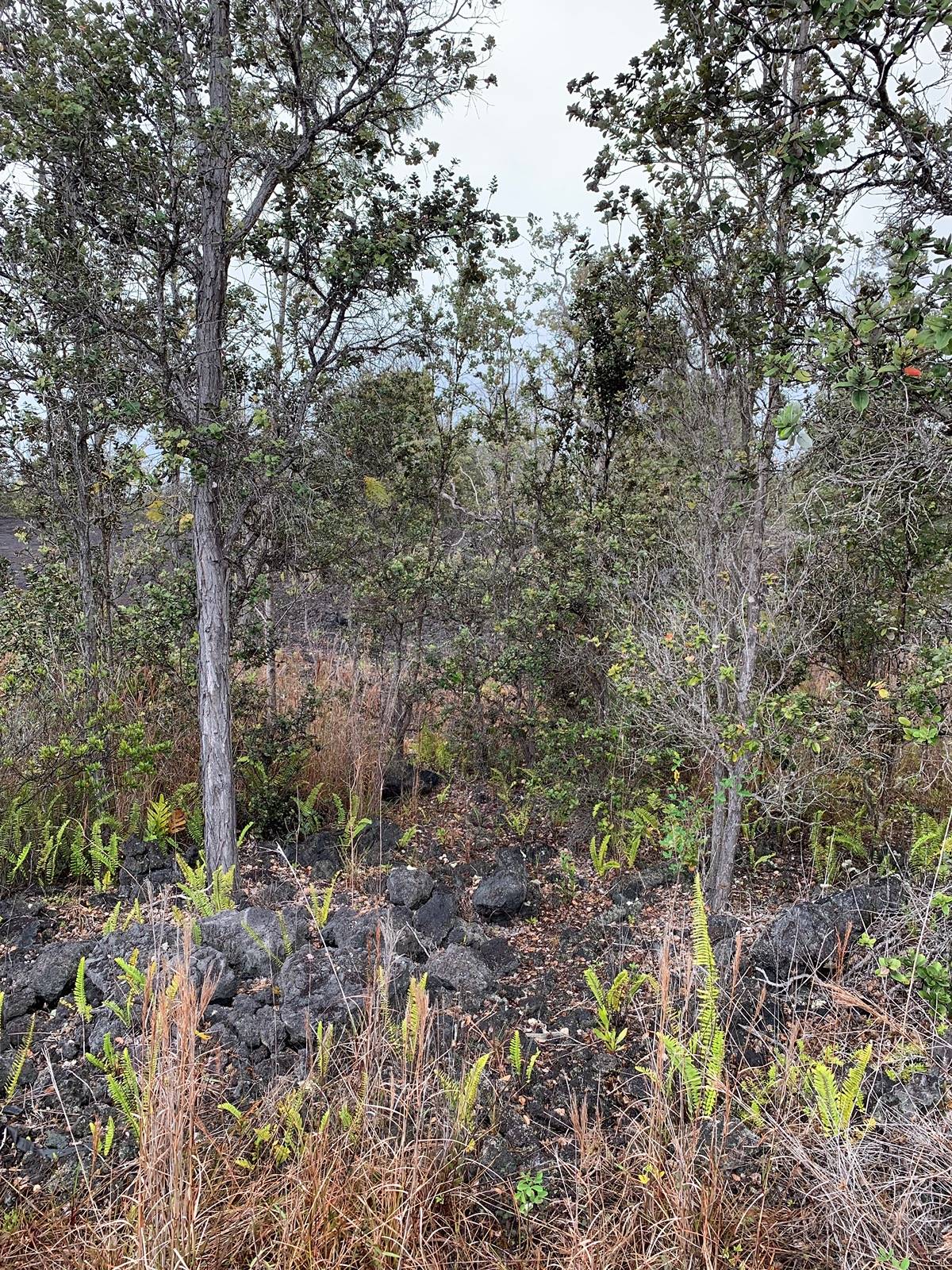 Hawaii Blvd Property Photo 4