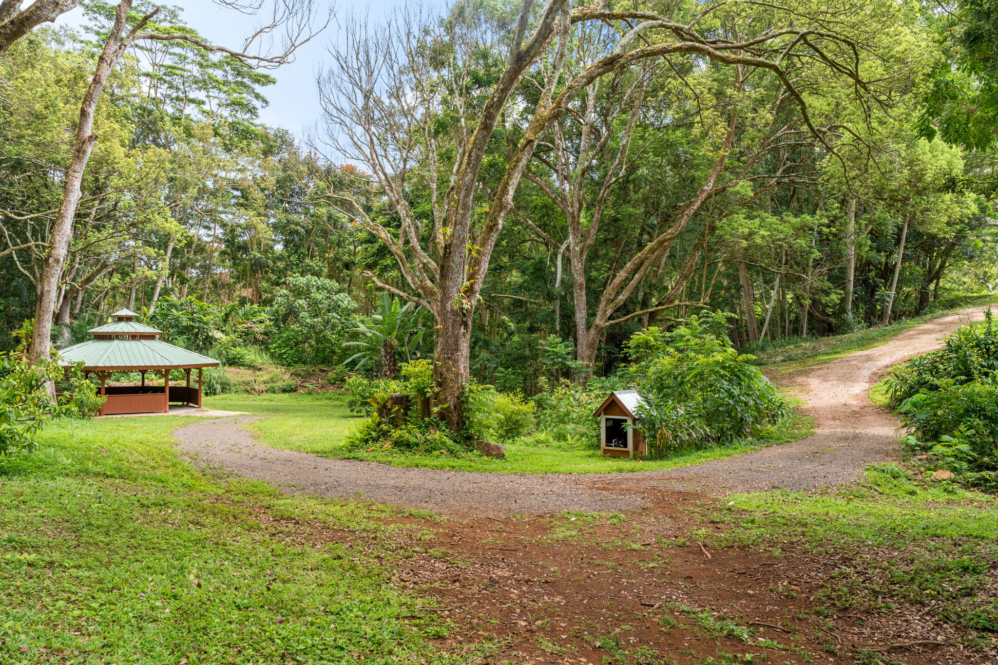 Hauiki Rd Property Photo 6