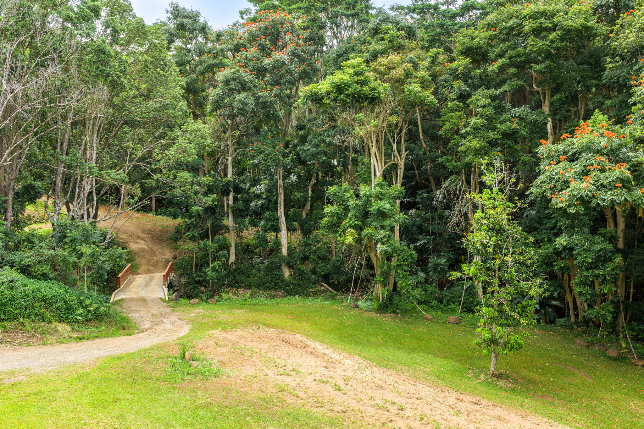 Hauiki Rd Property Photo 13