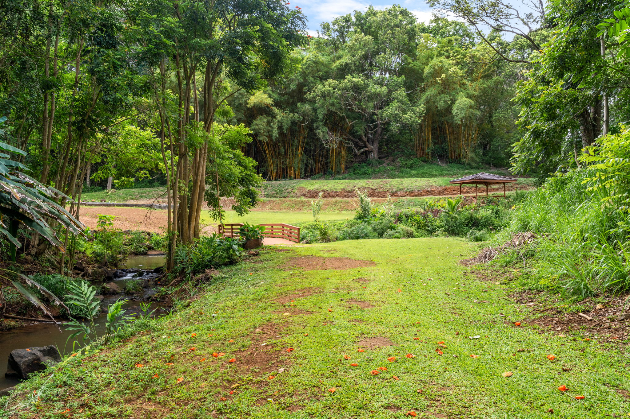 Hauiki Rd Property Photo 15