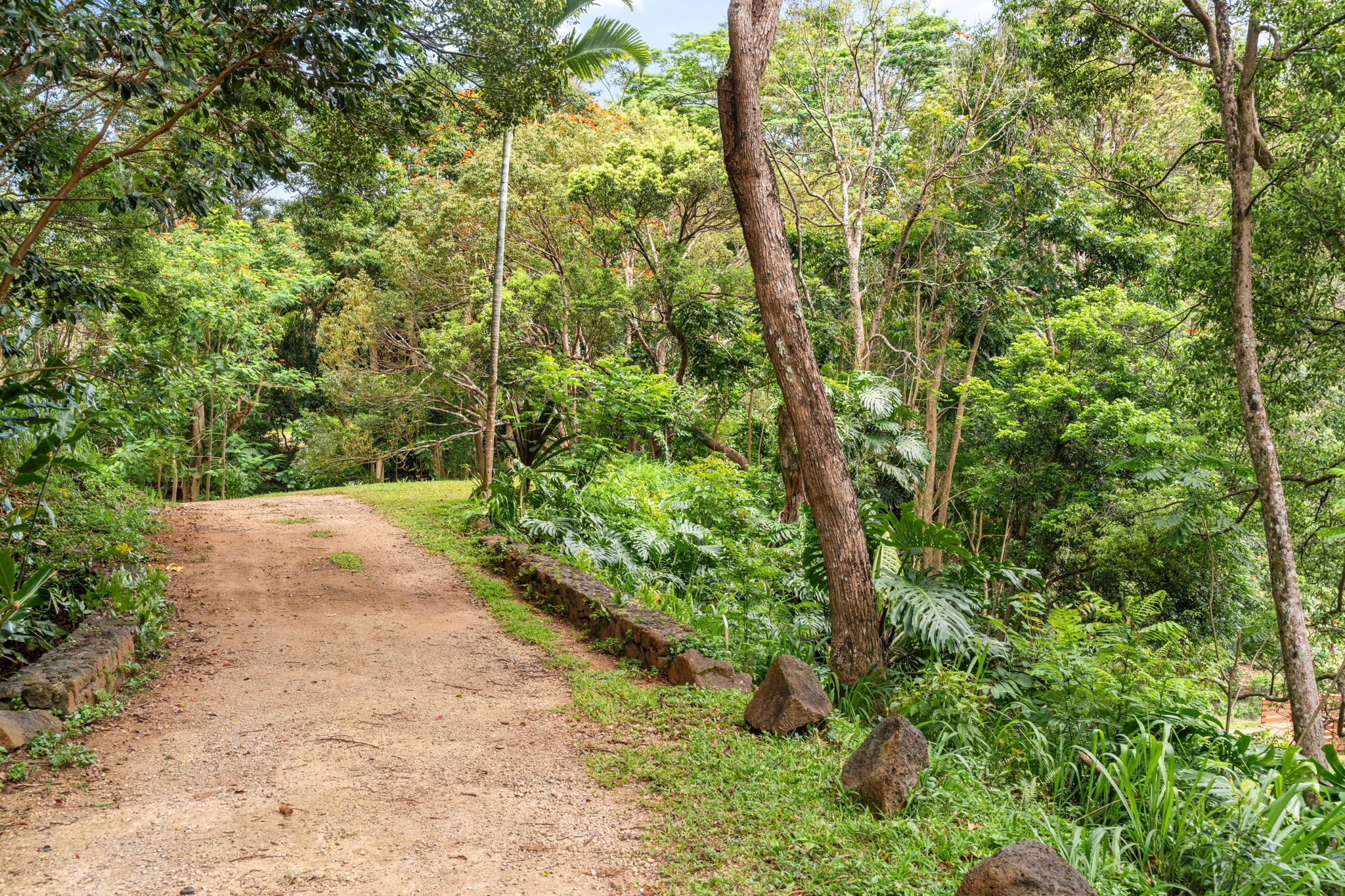 Hauiki Rd Property Photo 18