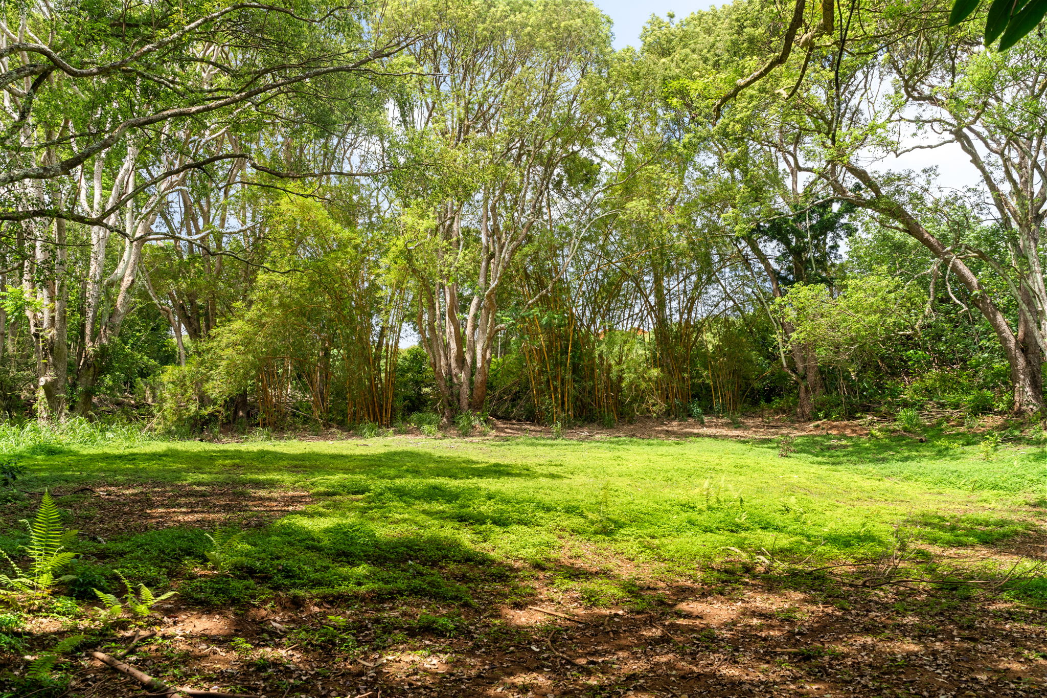 Hauiki Rd Property Photo 19