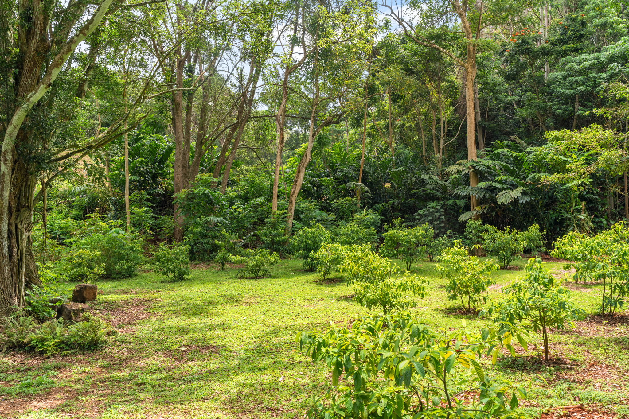 Hauiki Rd Property Photo 20