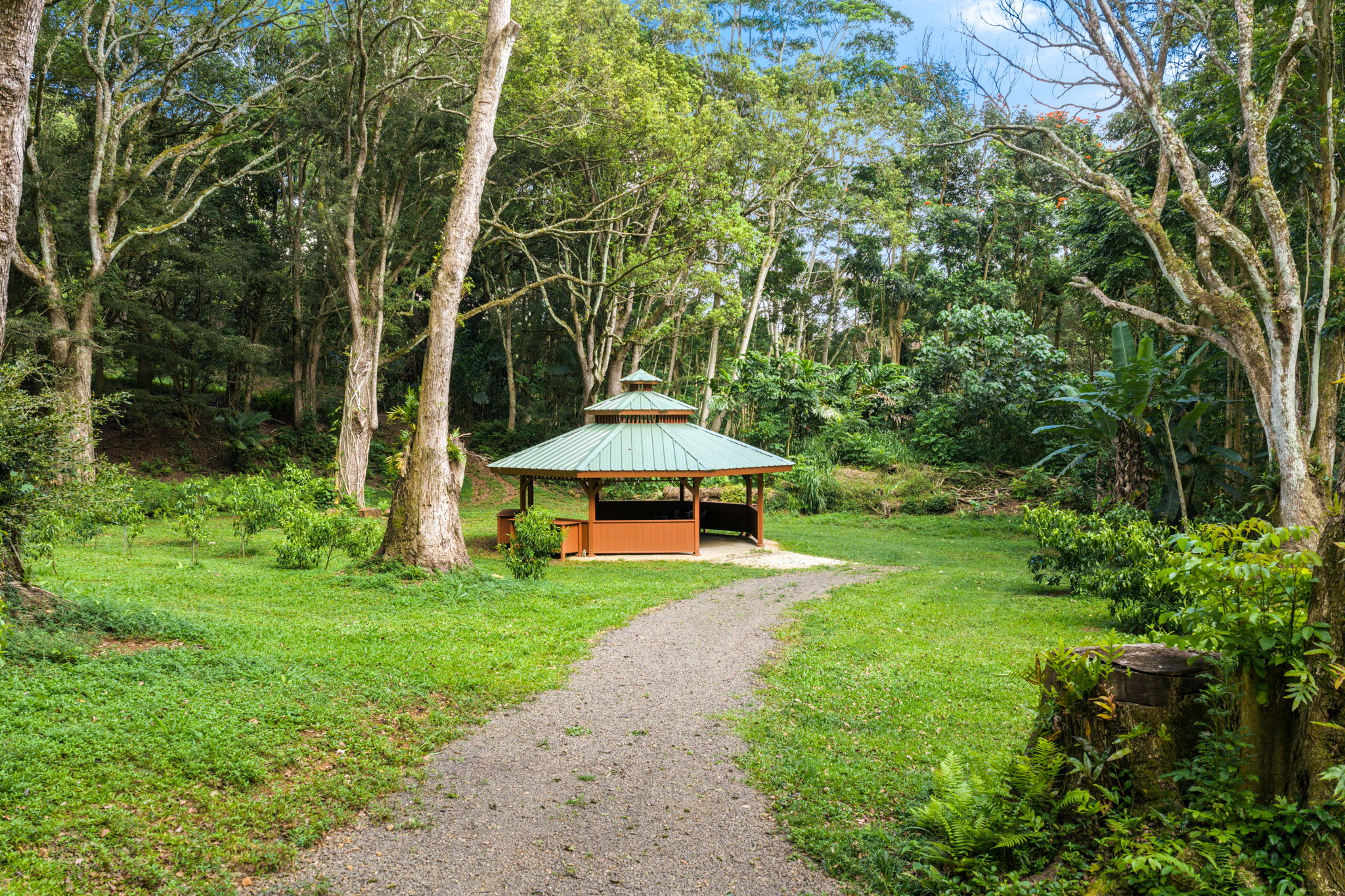 Hauiki Rd Property Photo 21