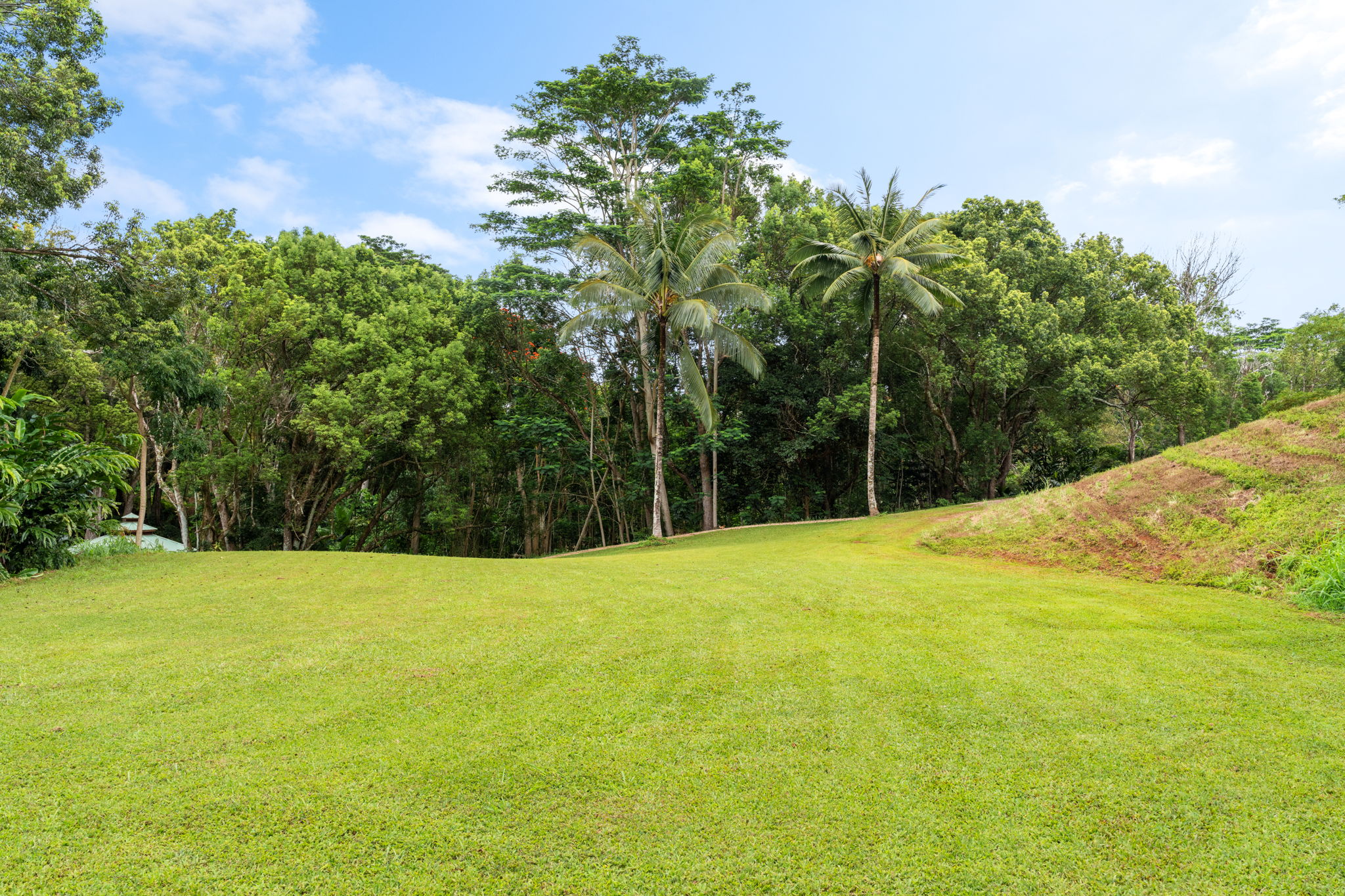 Hauiki Rd Property Photo 23