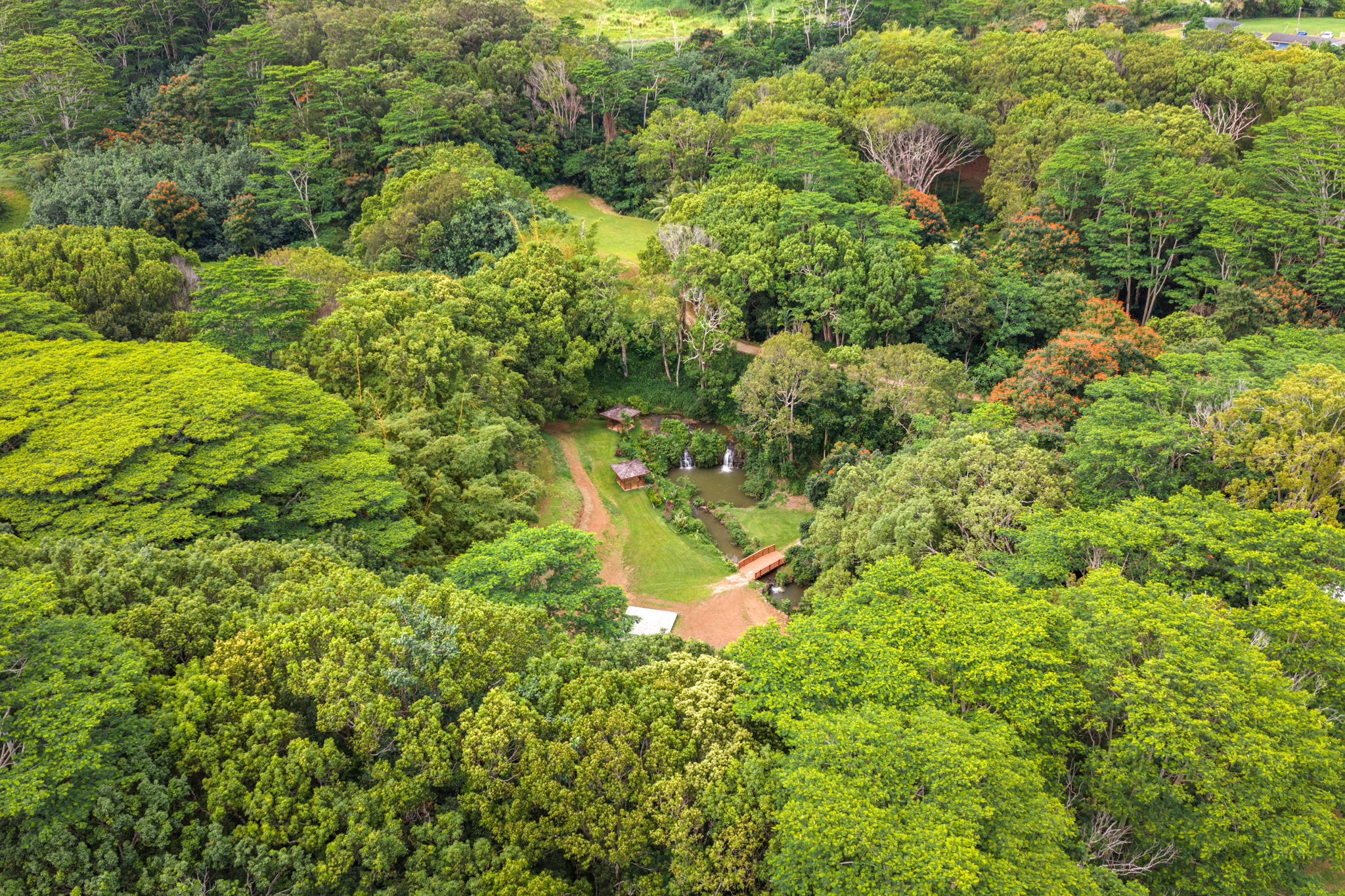 Hauiki Rd Property Photo 24