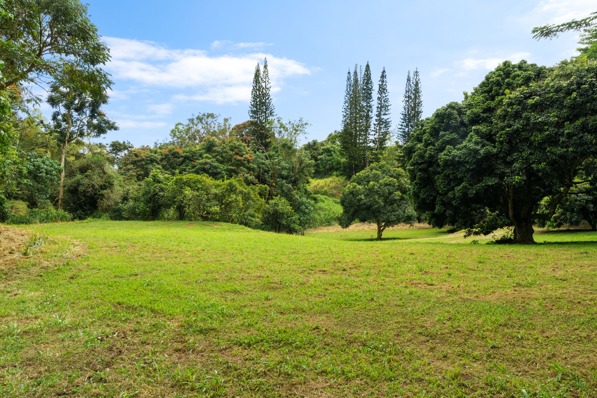 Hauiki Rd Property Photo 27