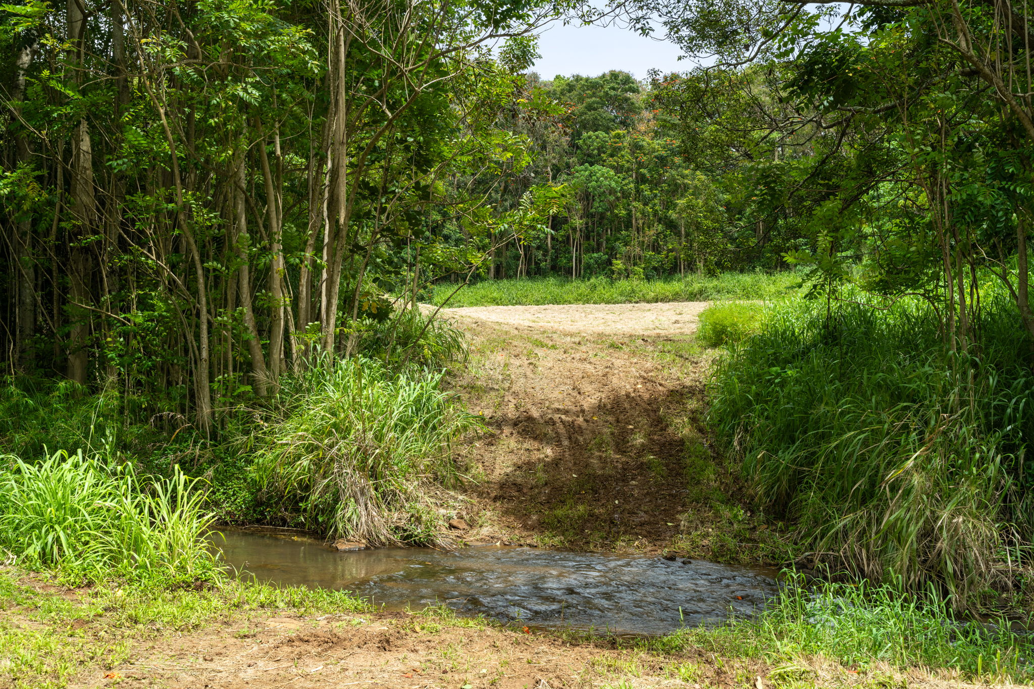 Hauiki Rd Property Photo 28
