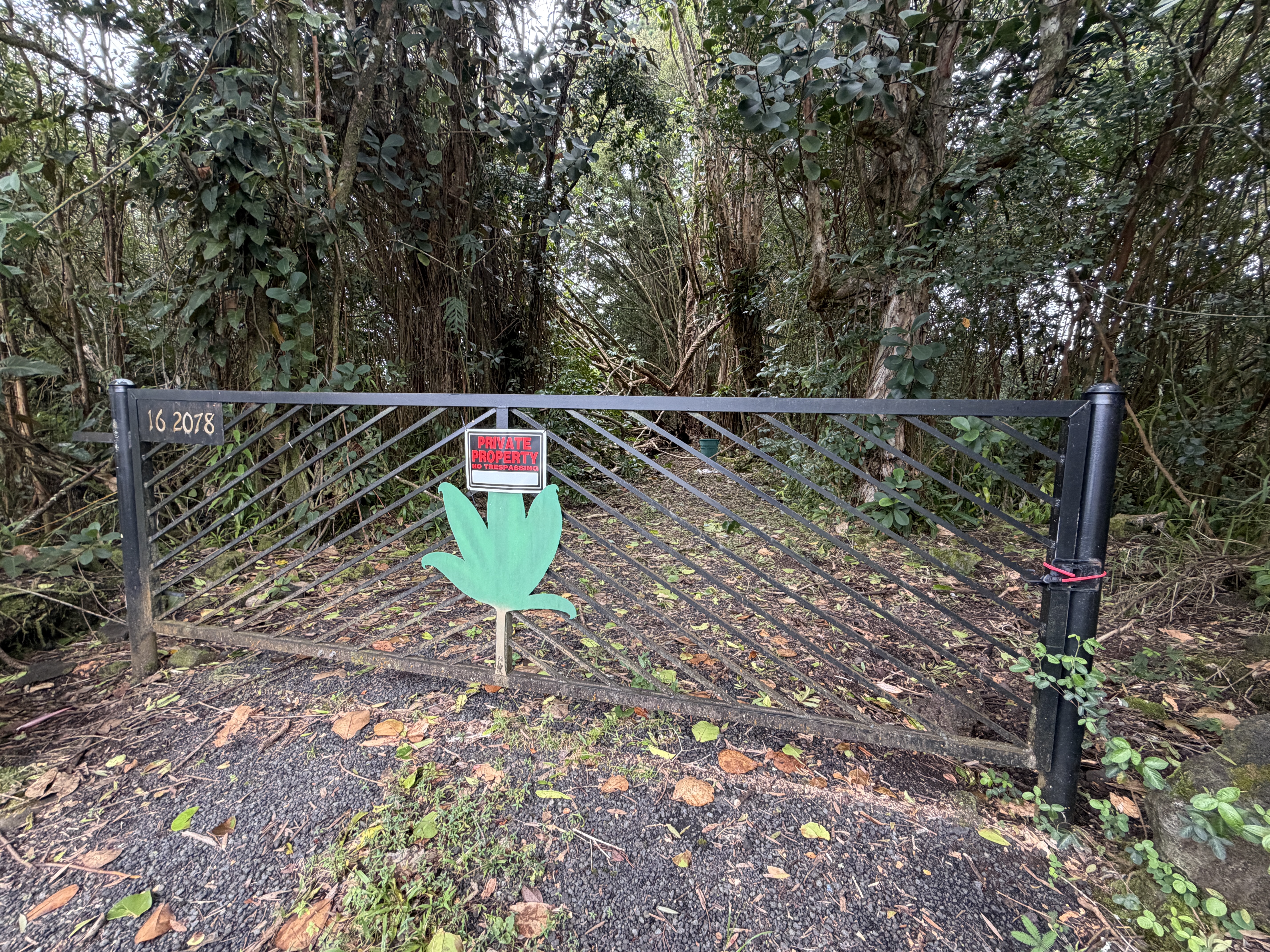 Pahoa Rd Property Photo 1