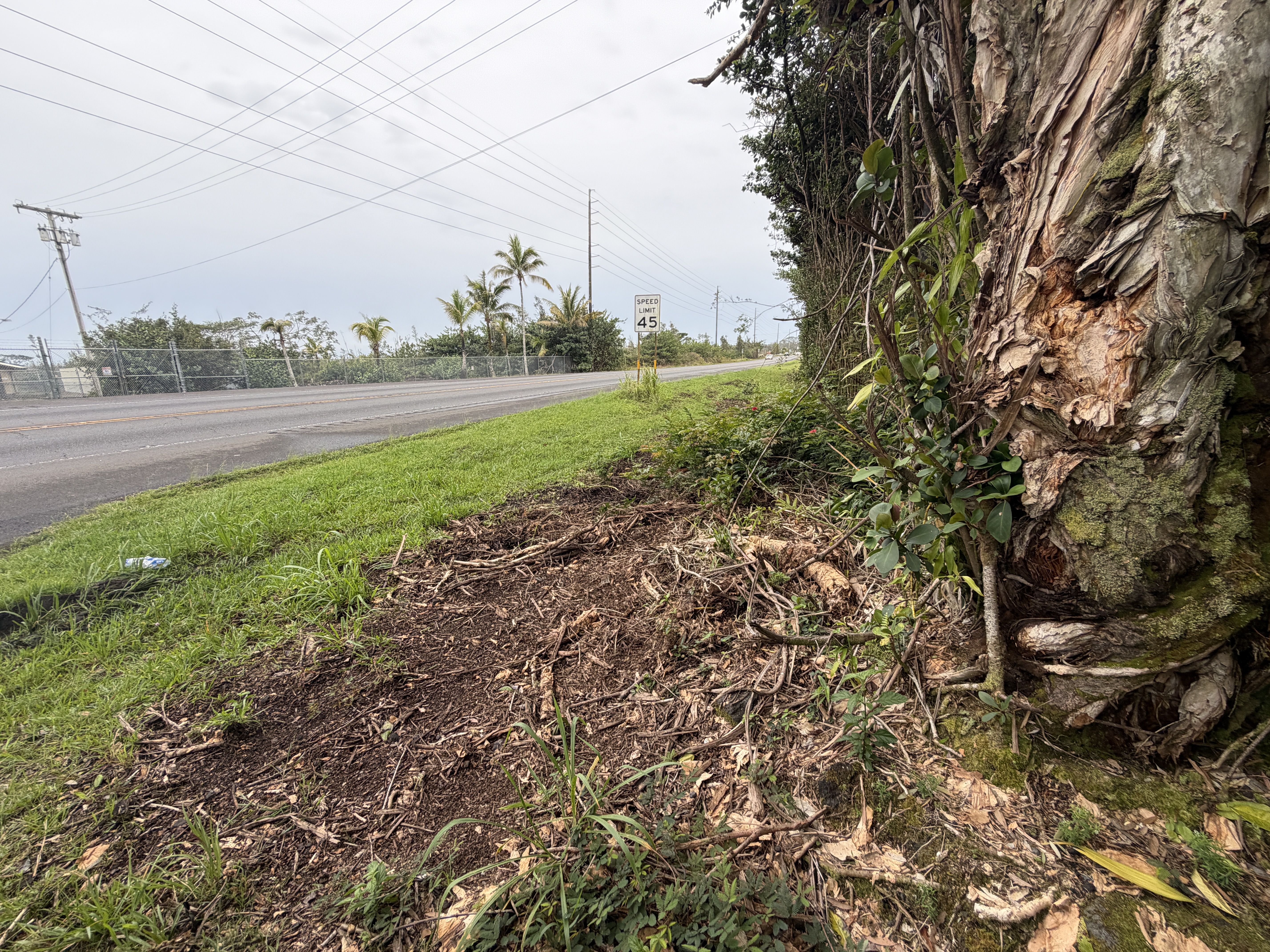 Pahoa Rd Property Photo 3