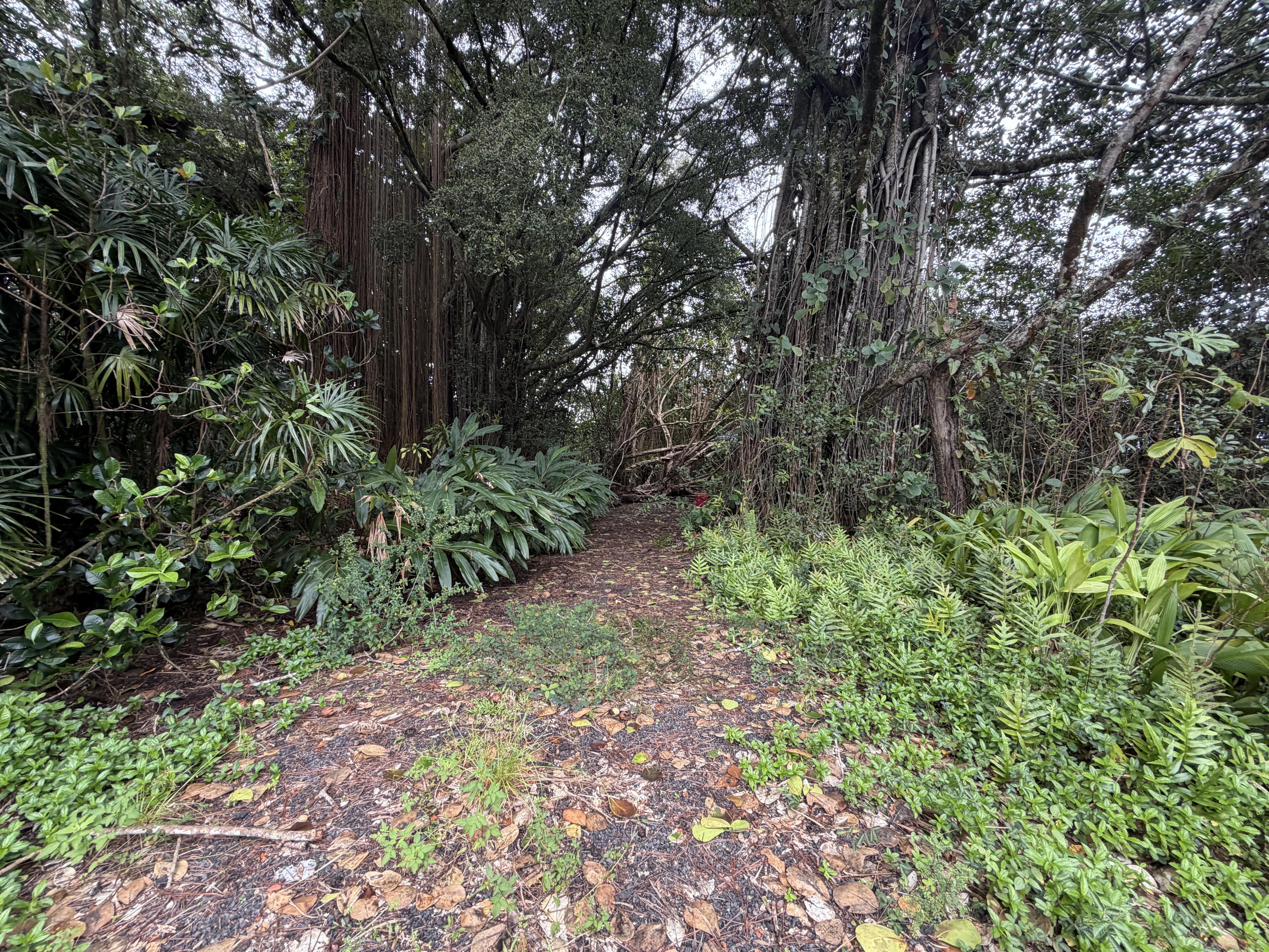 Pahoa Rd Property Photo 4