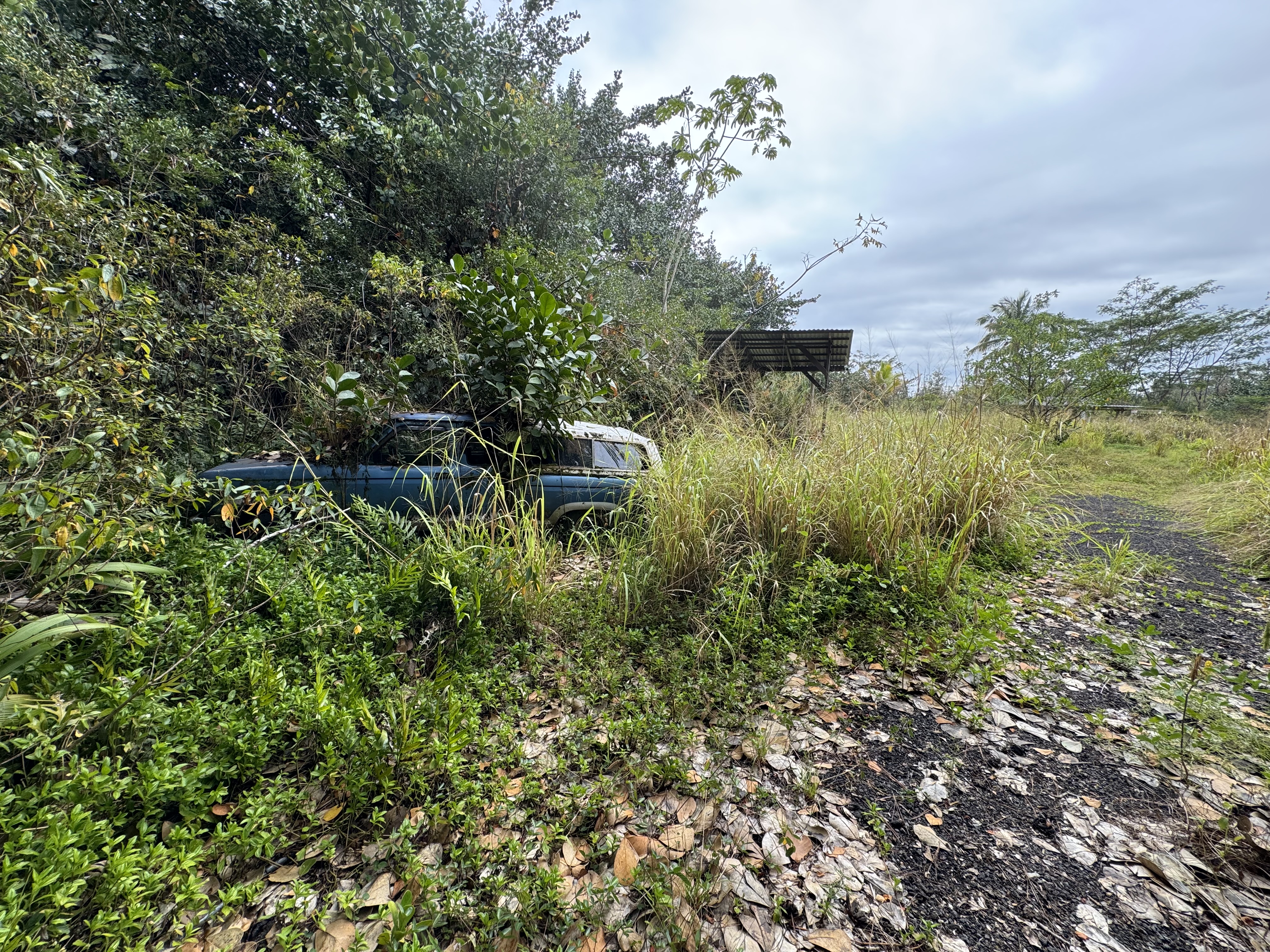 Pahoa Rd Property Photo 7