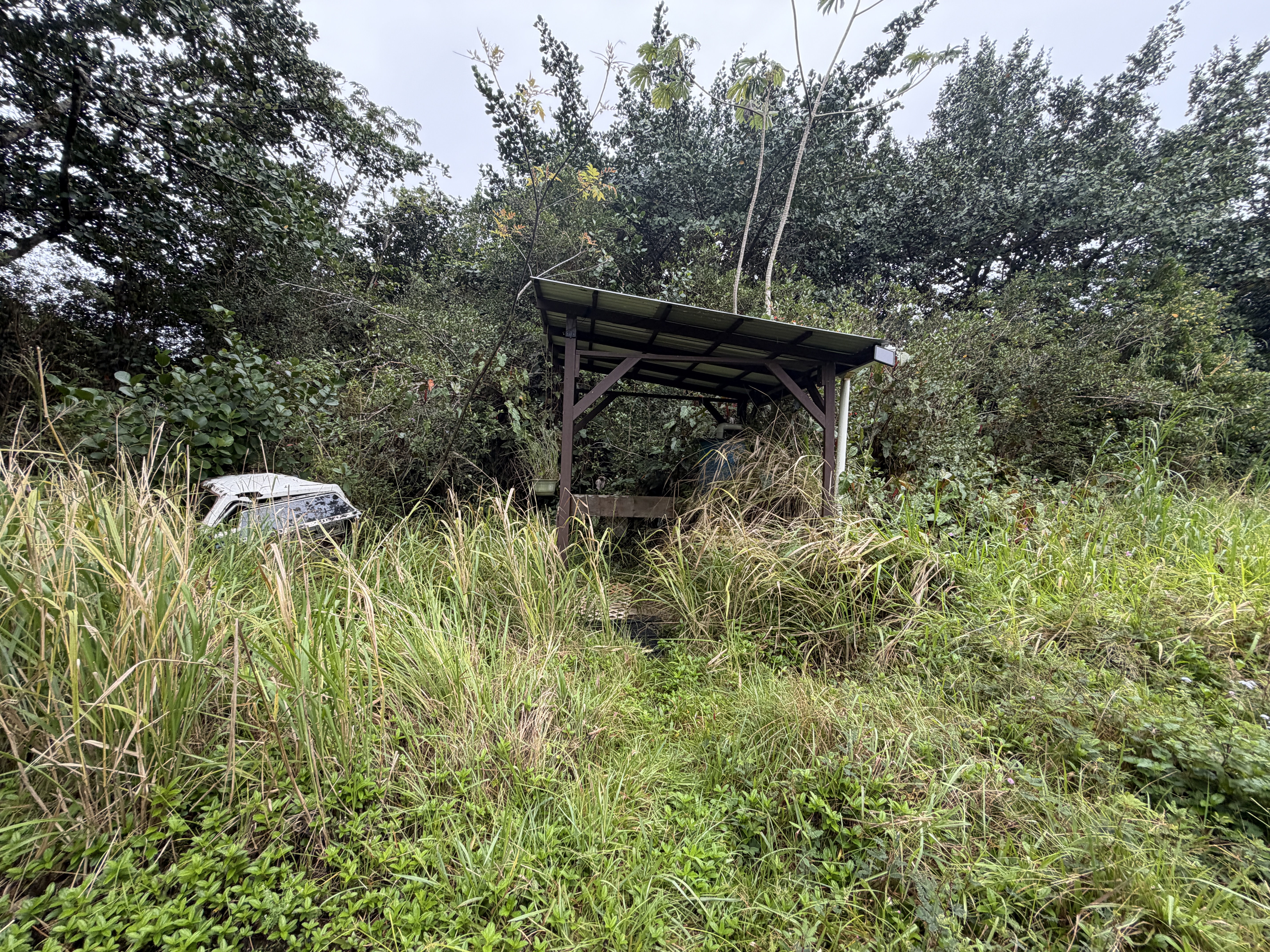 Pahoa Rd Property Photo 8