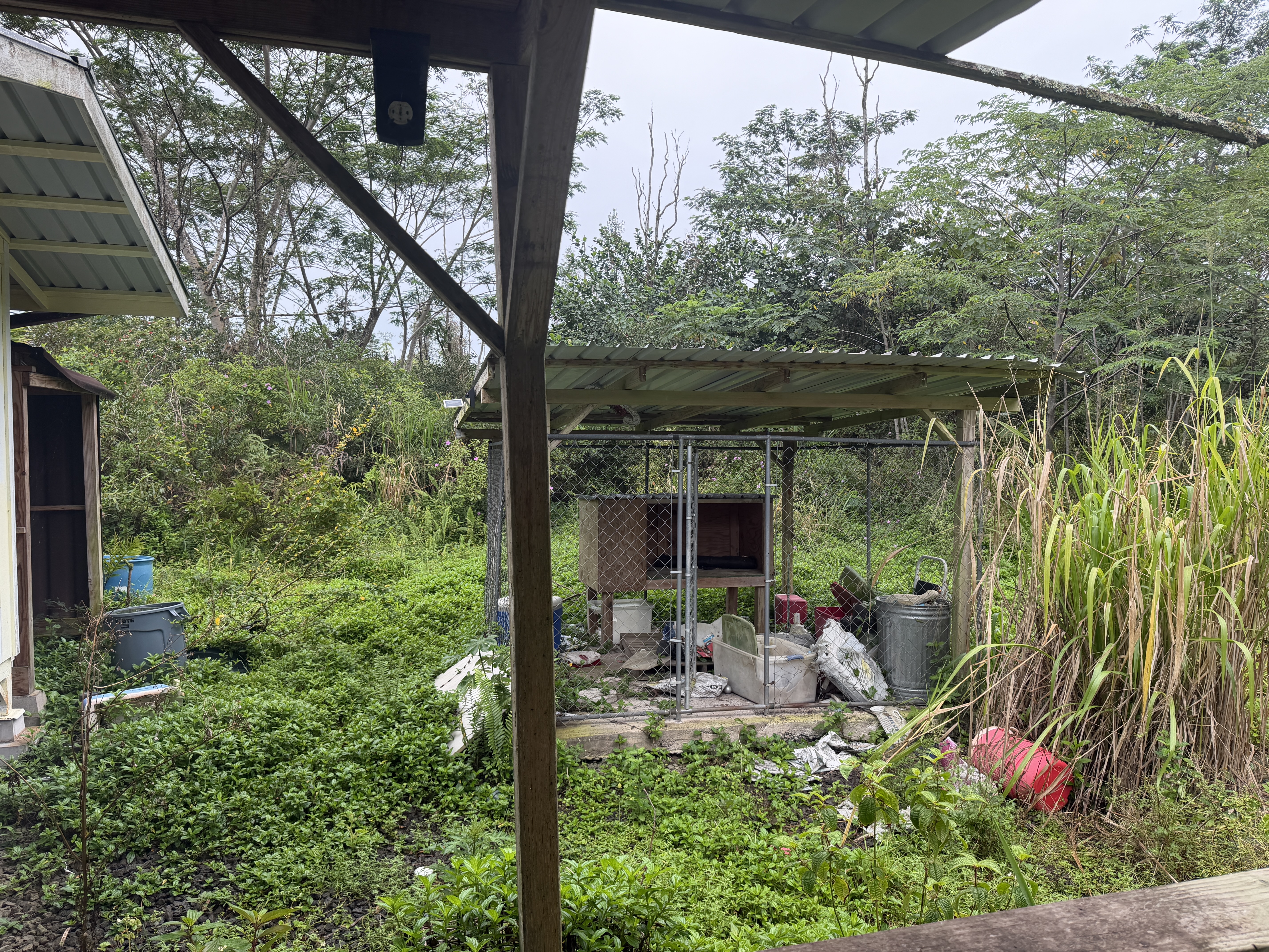 Pahoa Rd Property Photo 15