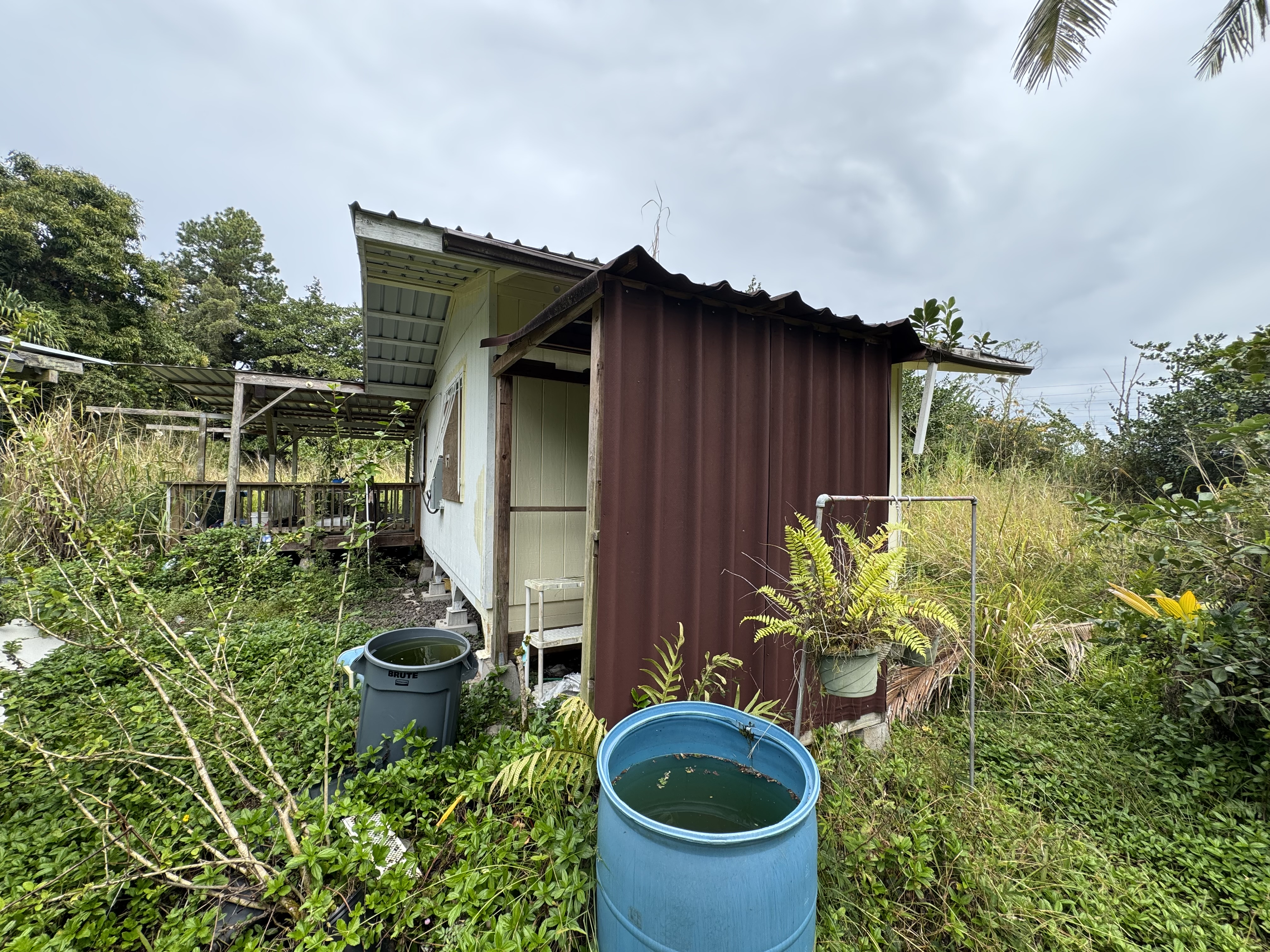 Pahoa Rd Property Photo 16