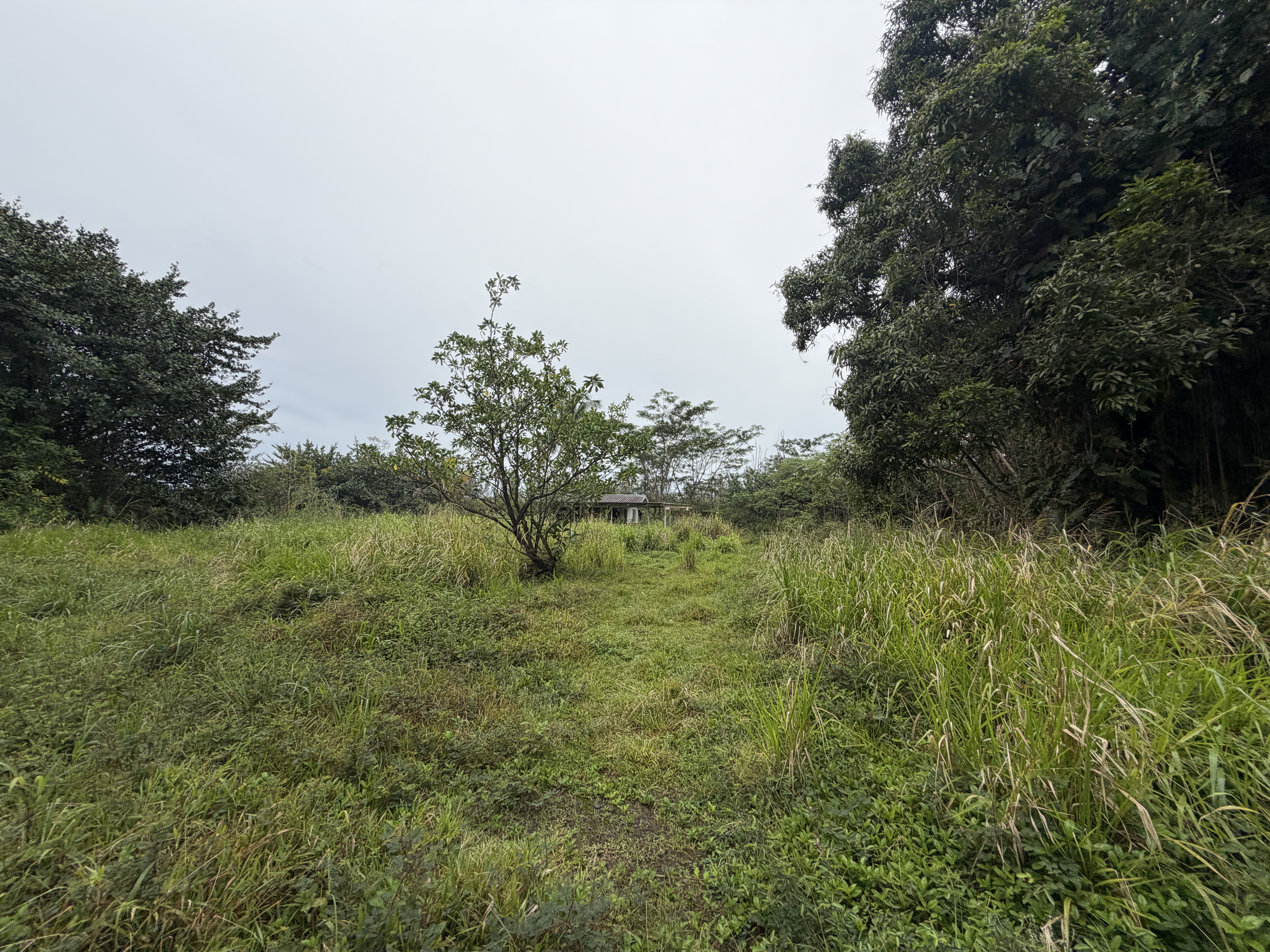 Pahoa Rd Property Photo 17