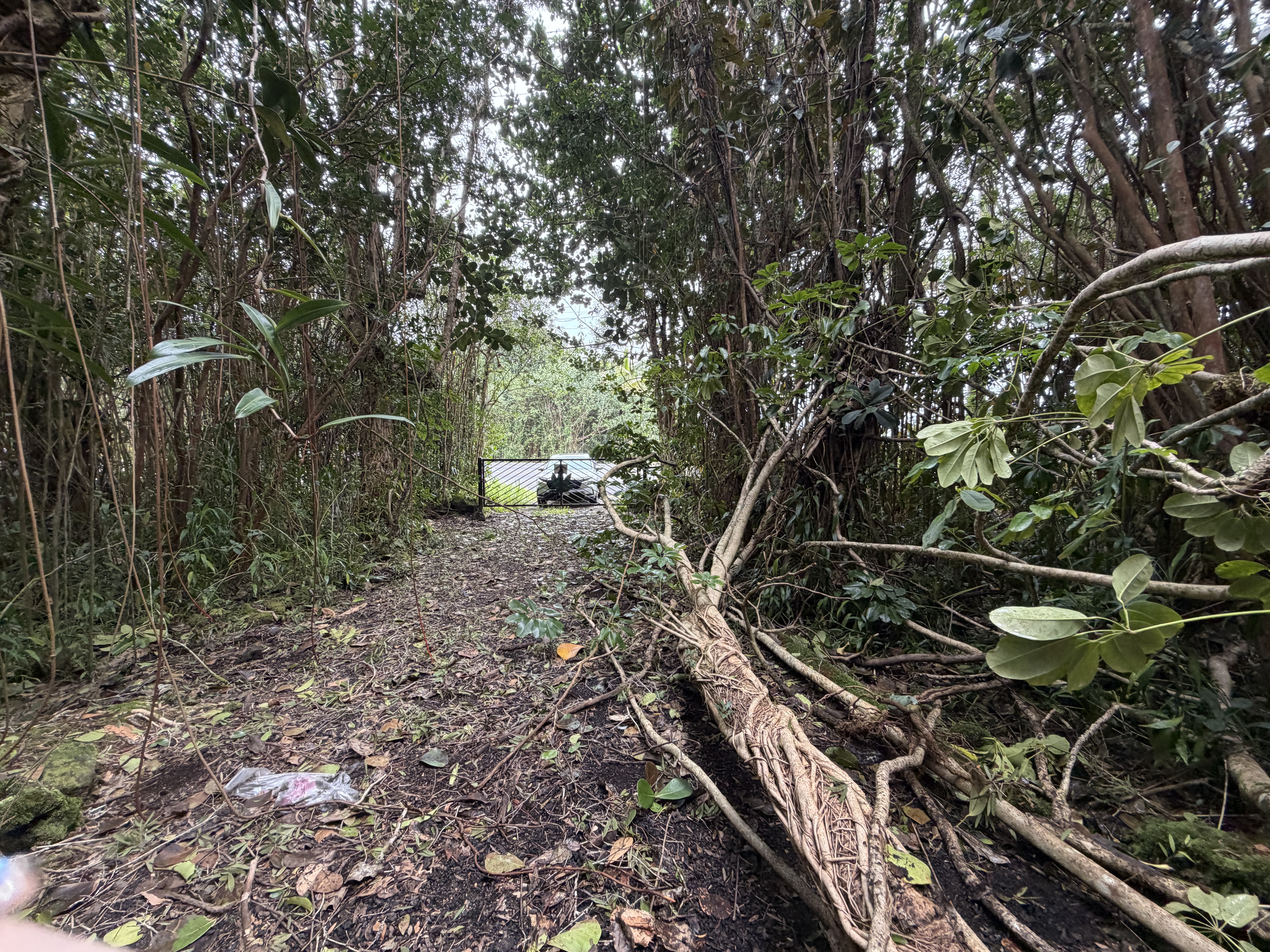 Pahoa Rd Property Photo 19