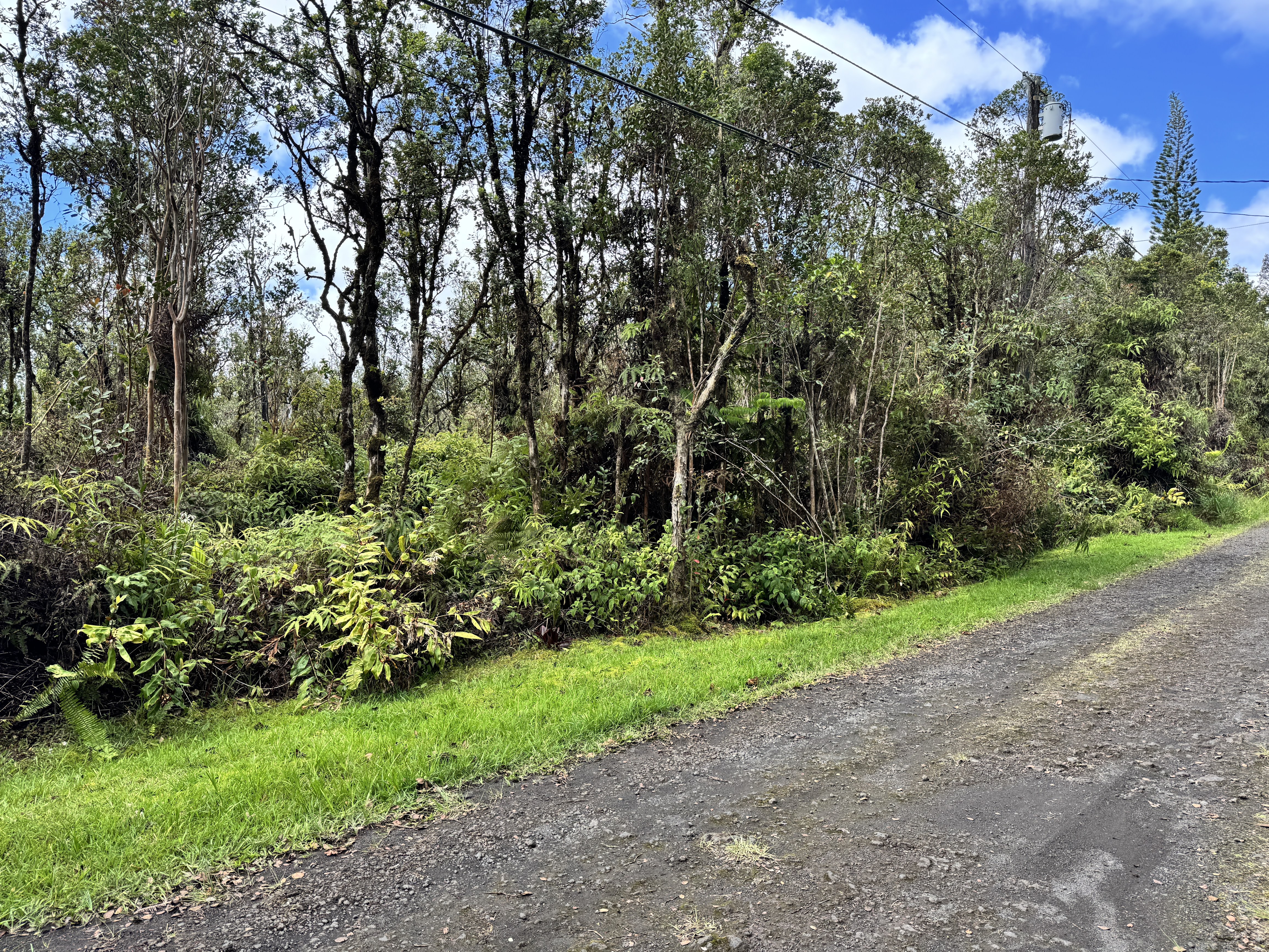 Ohelo St Lot 29 Property Photo 1