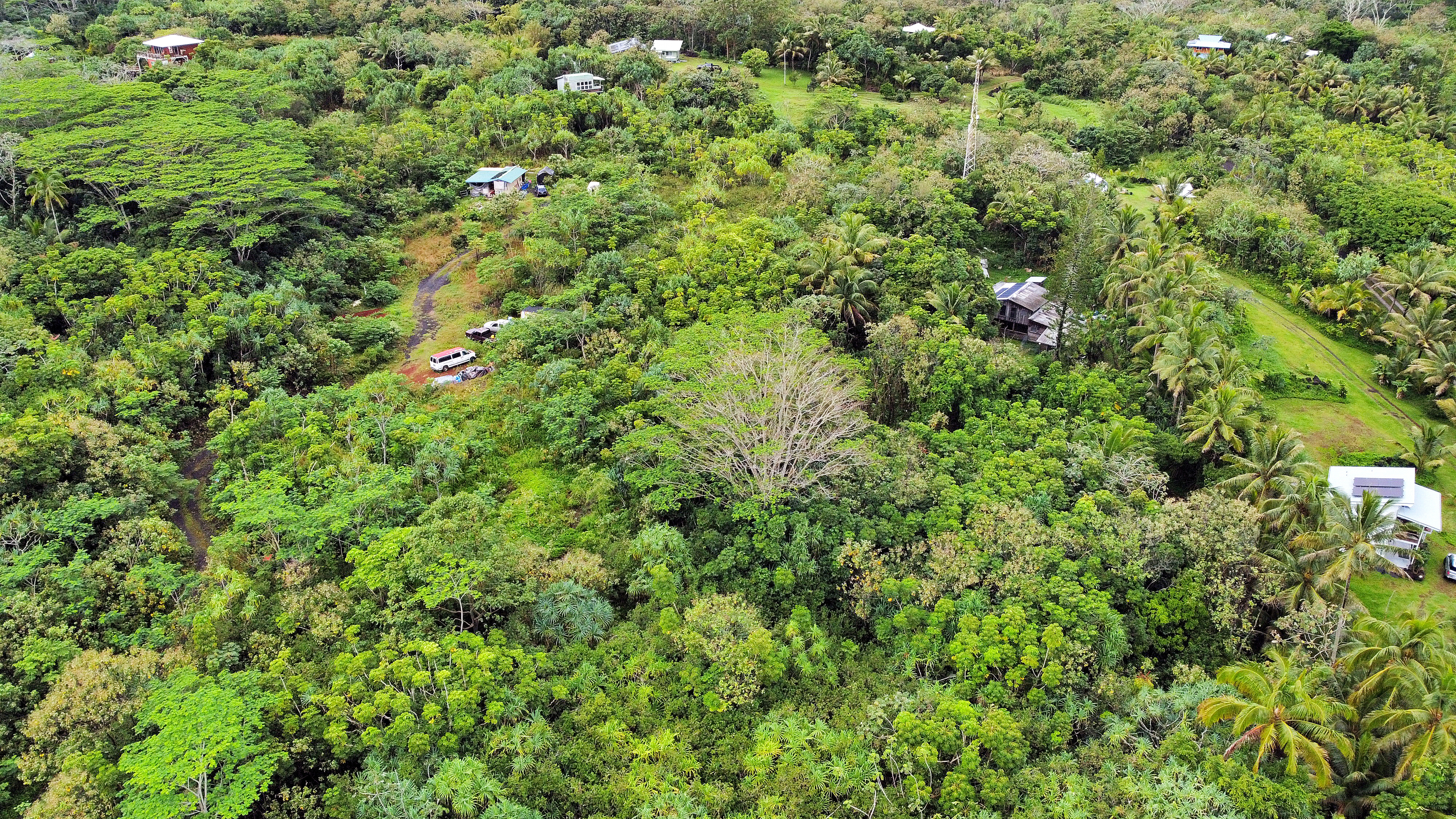 Government Beach Rd Property Photo 5