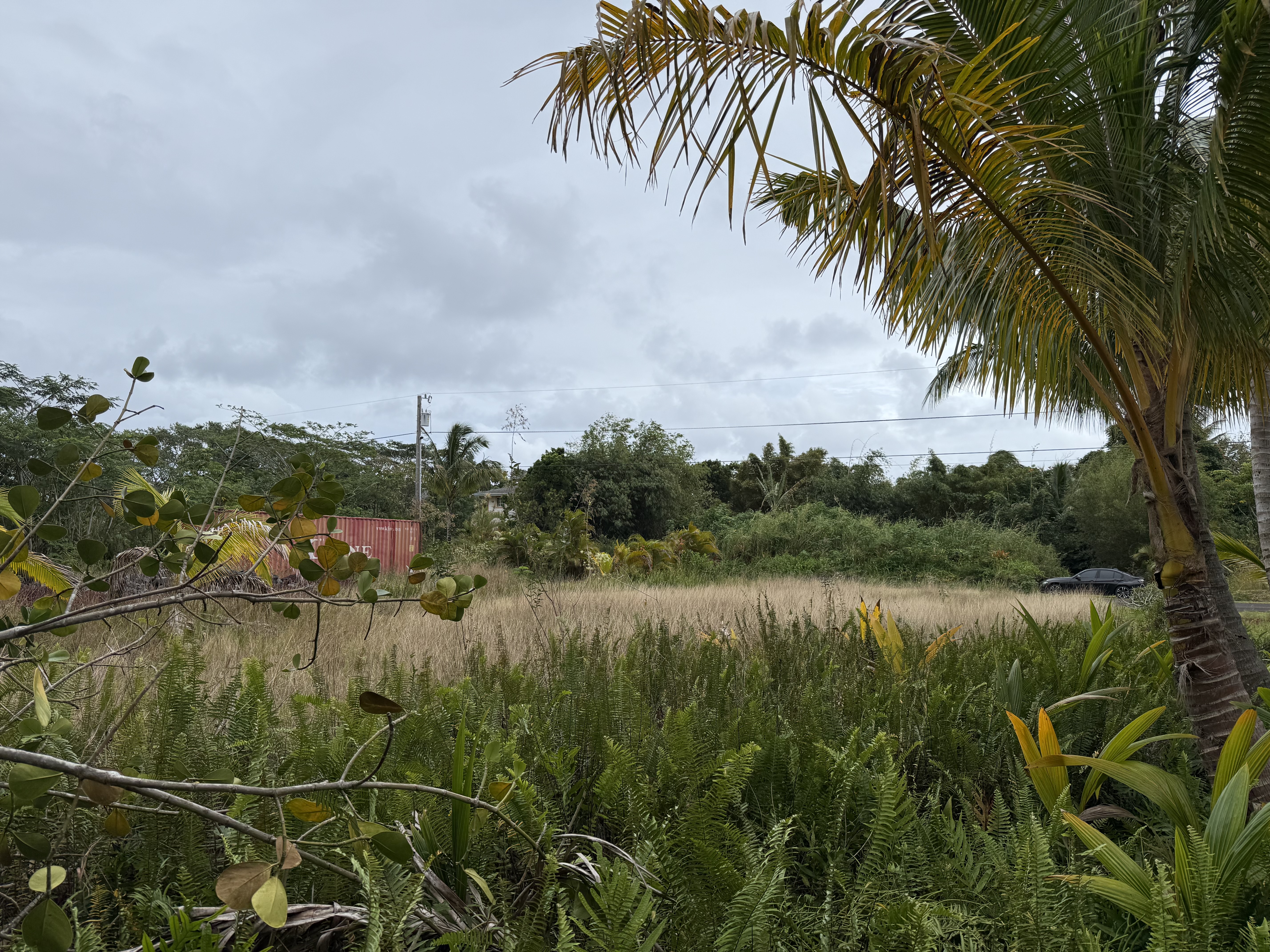 Puulena St Property Photo 2