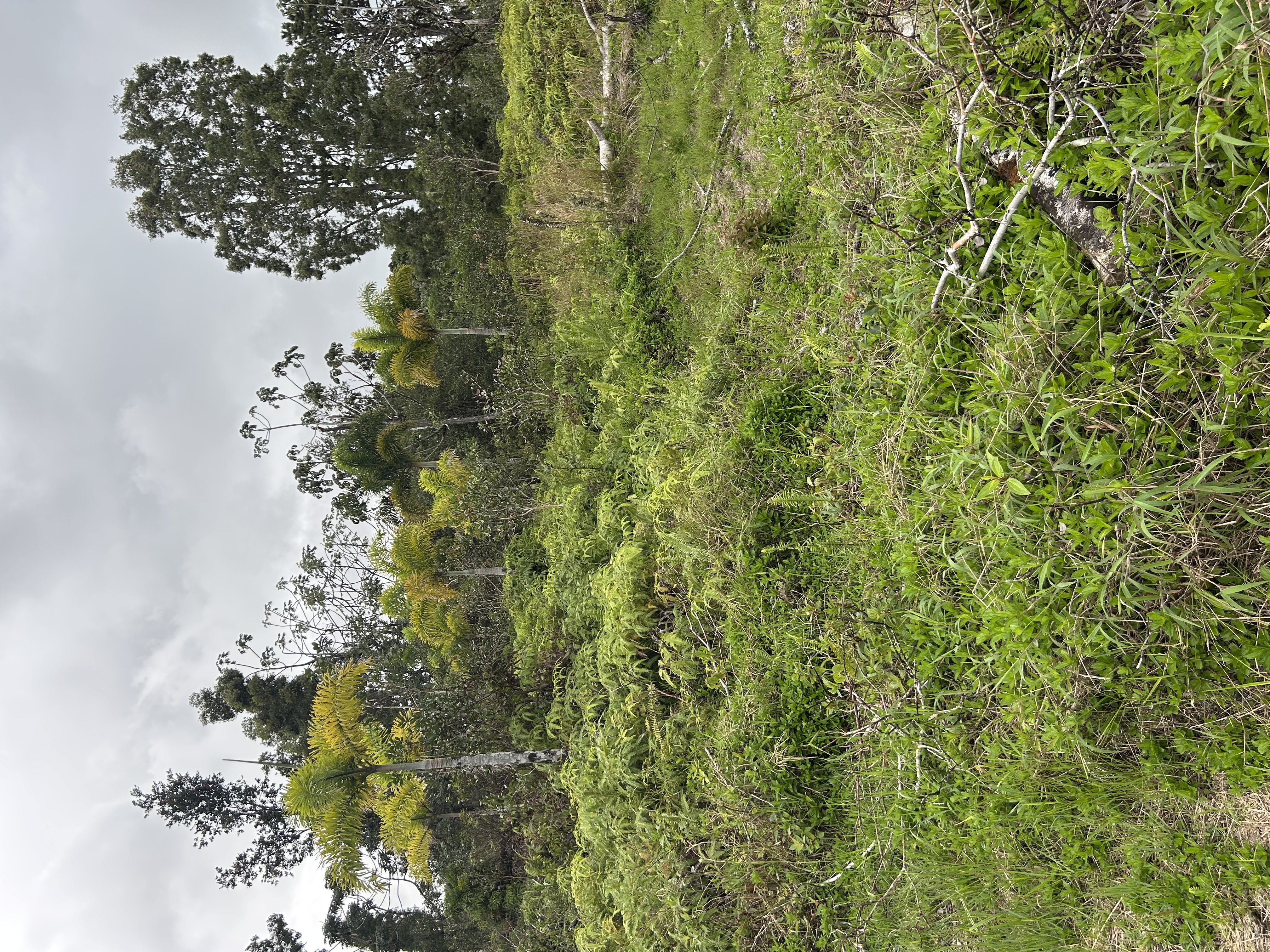 16-1945 Road 5 (uau) Property Photo 14