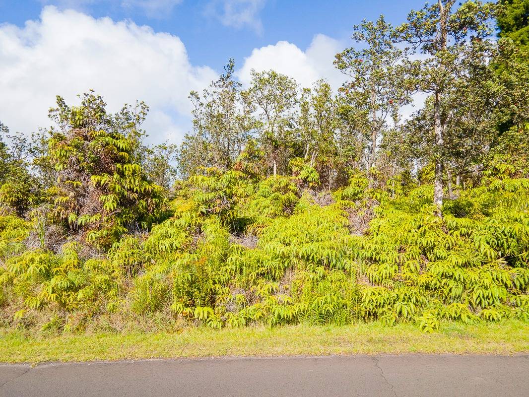 Alii Koa St Property Photo 4