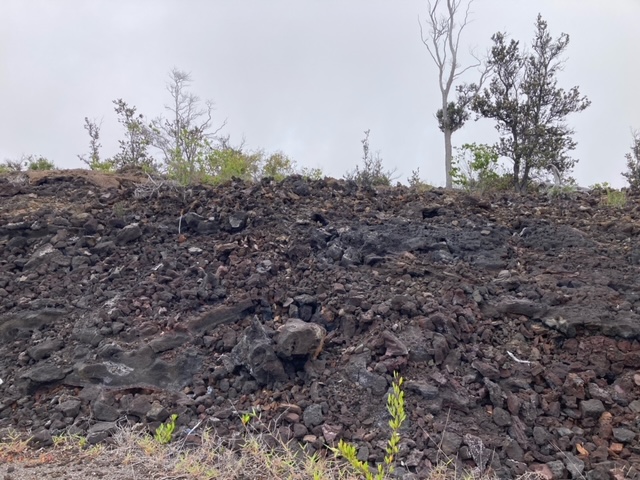 Marlin Blvd Property Photo 8