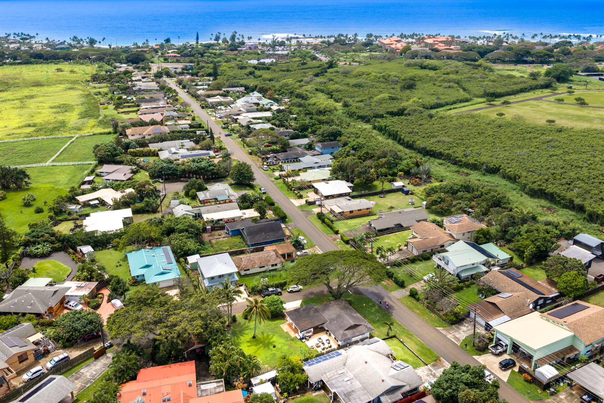 1990 Muku Rd Property Photo 28