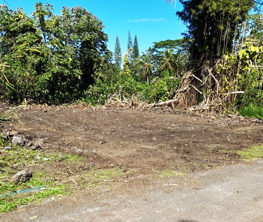 Moano St Property Photo 4