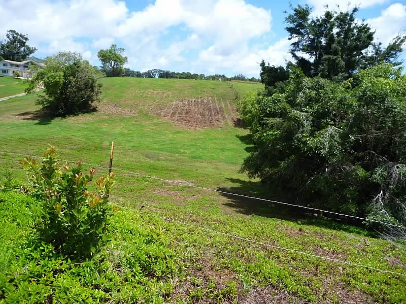 Kipapa Rd Lot 159-a-3 Property Photo 5