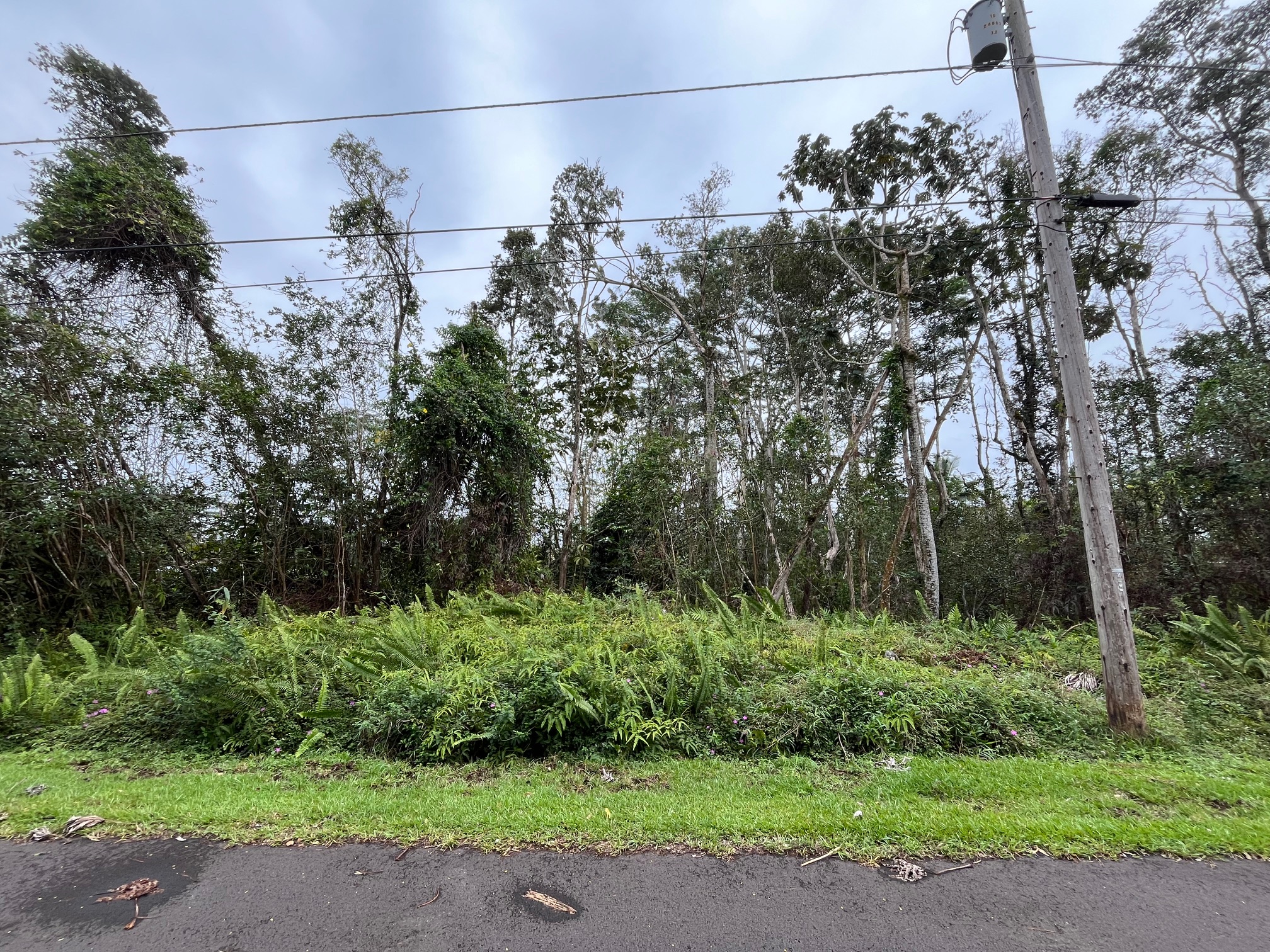 Iao St Property Photo 1