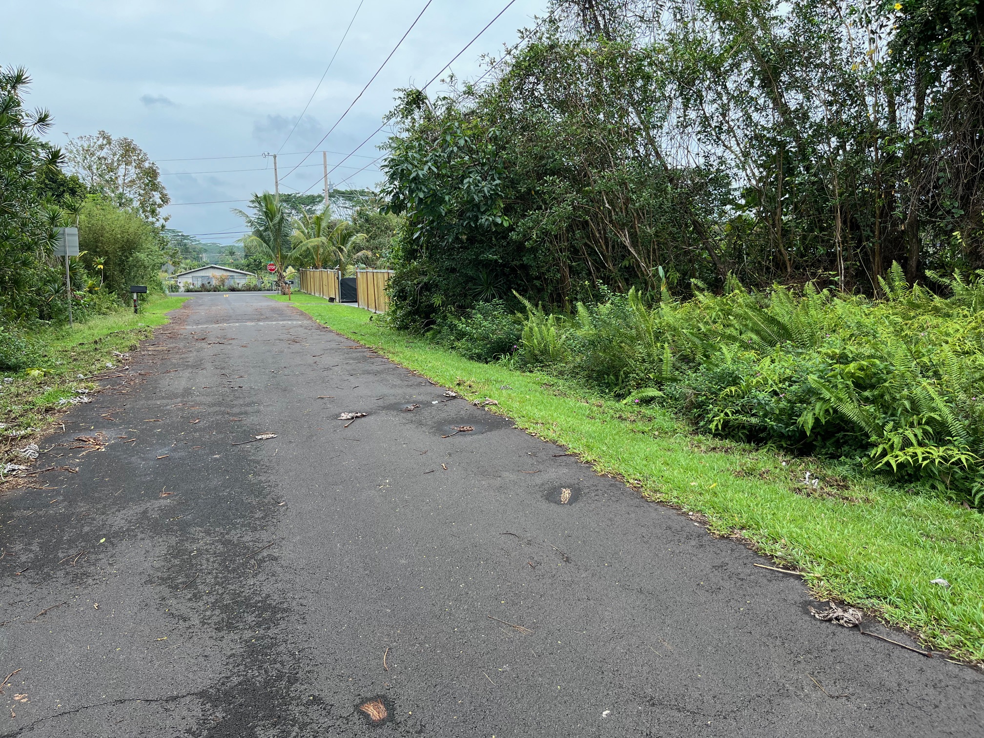 Iao St Property Photo 3