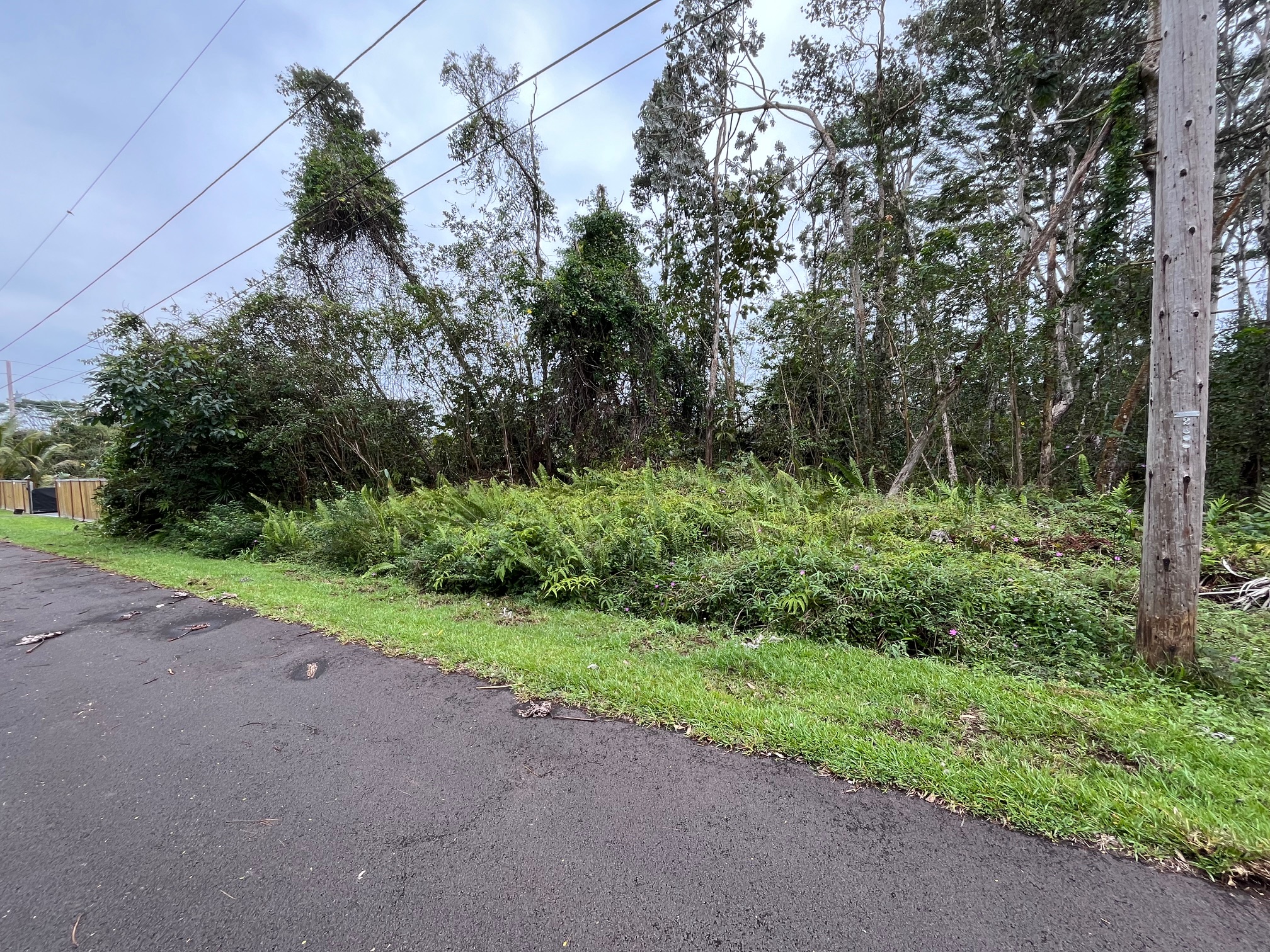 Iao St Property Photo 5