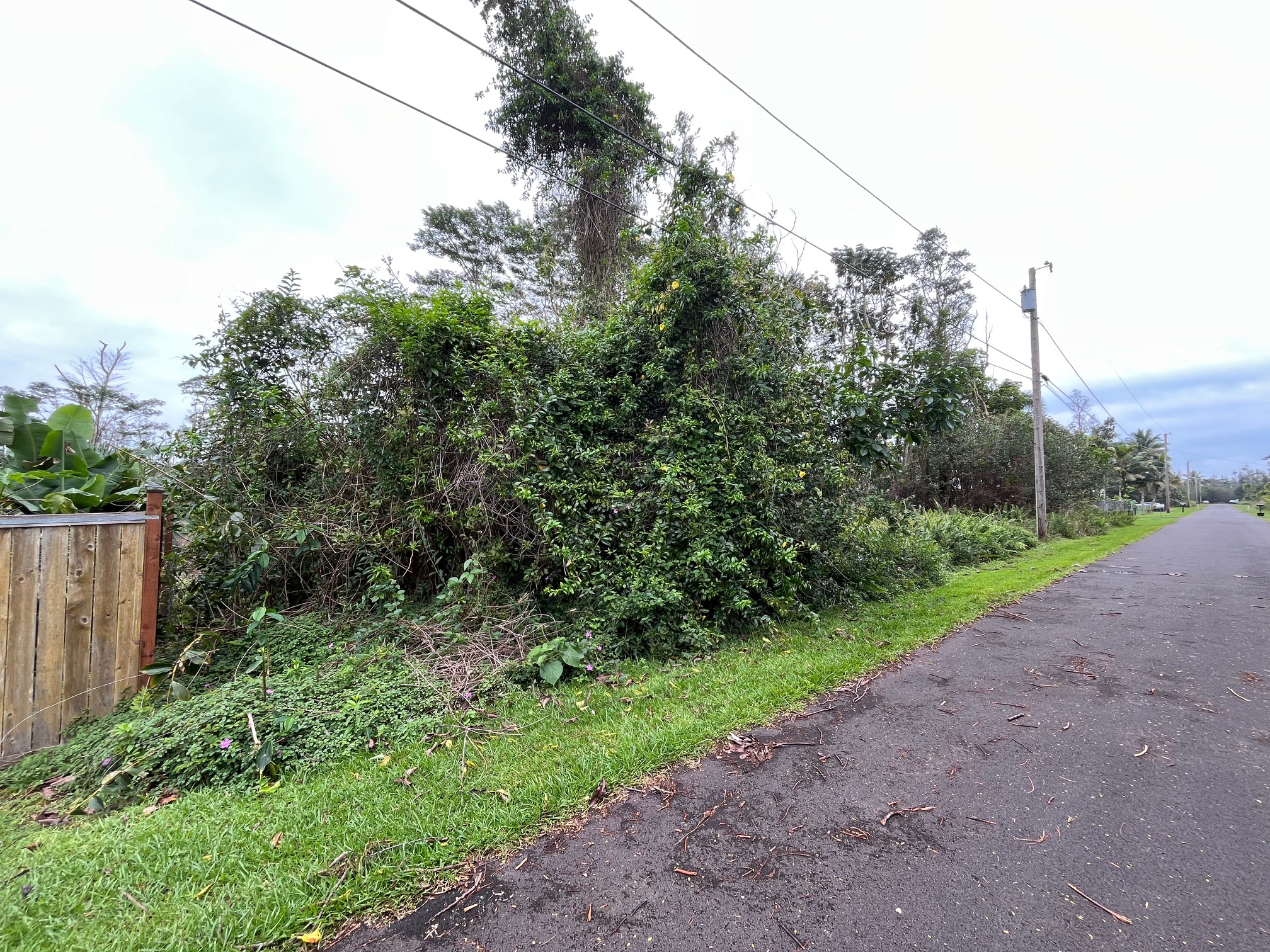 Iao St Property Photo 6