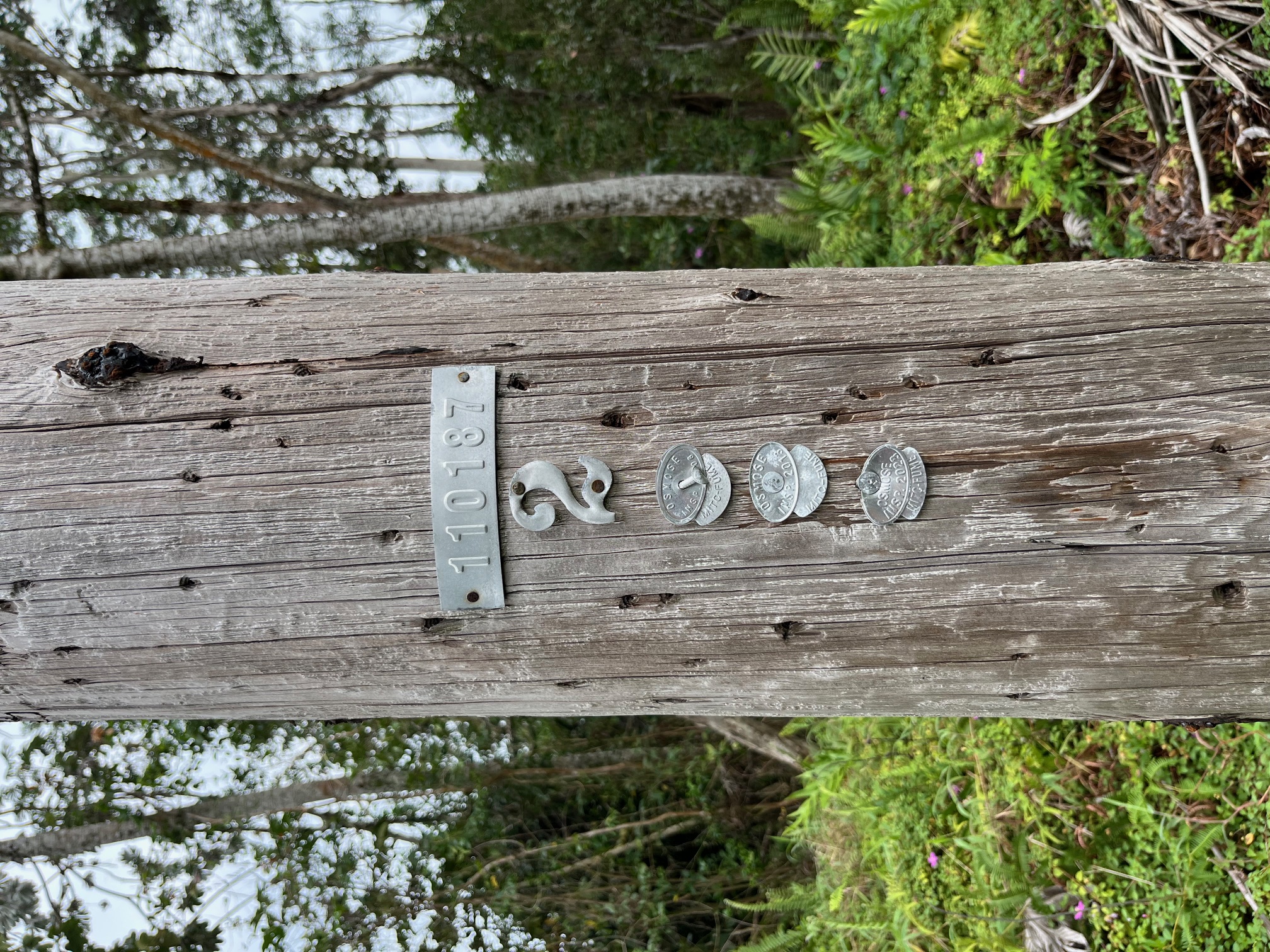Iao St Property Photo 7