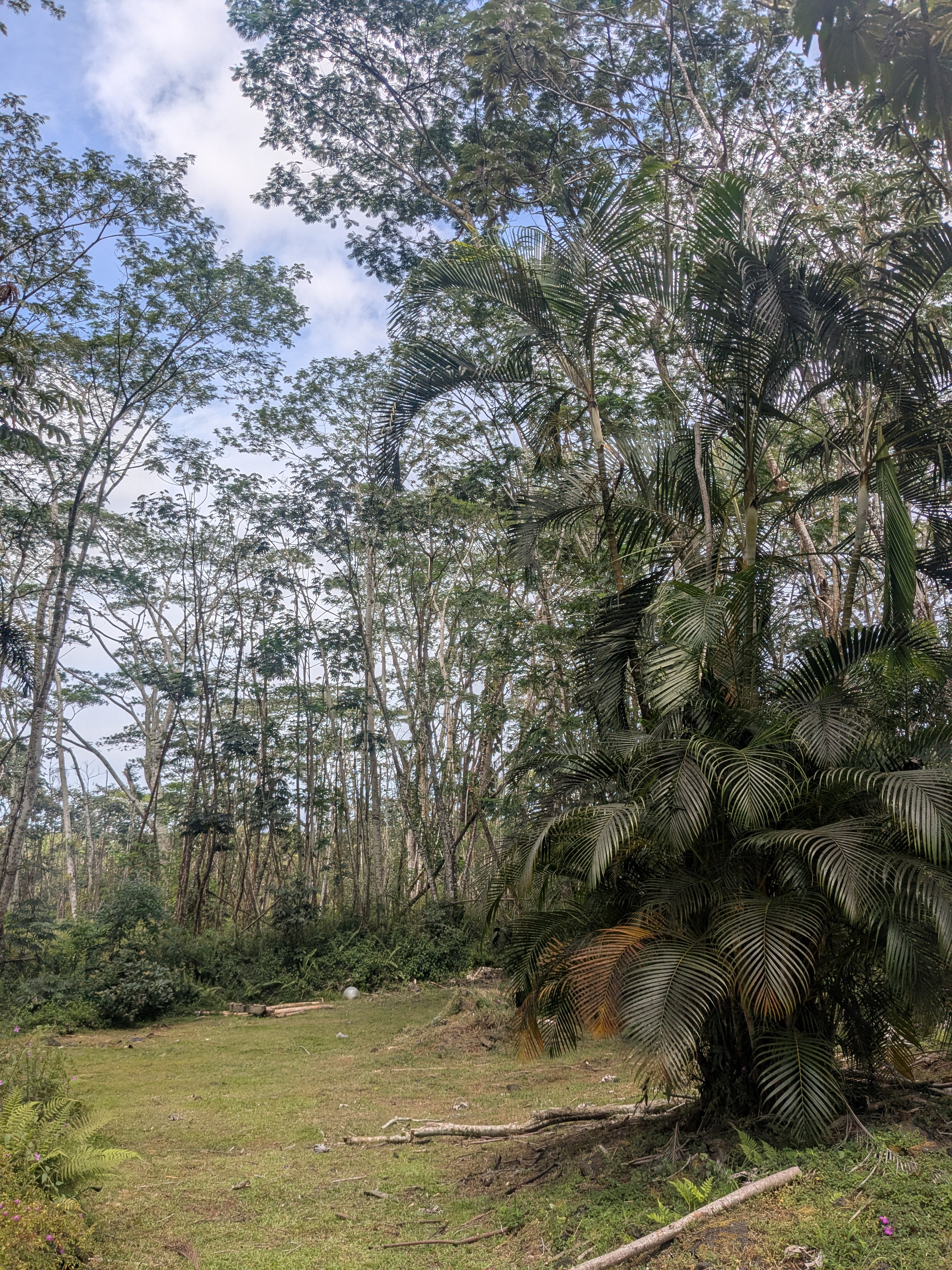 Pakalana Rd Property Photo 2