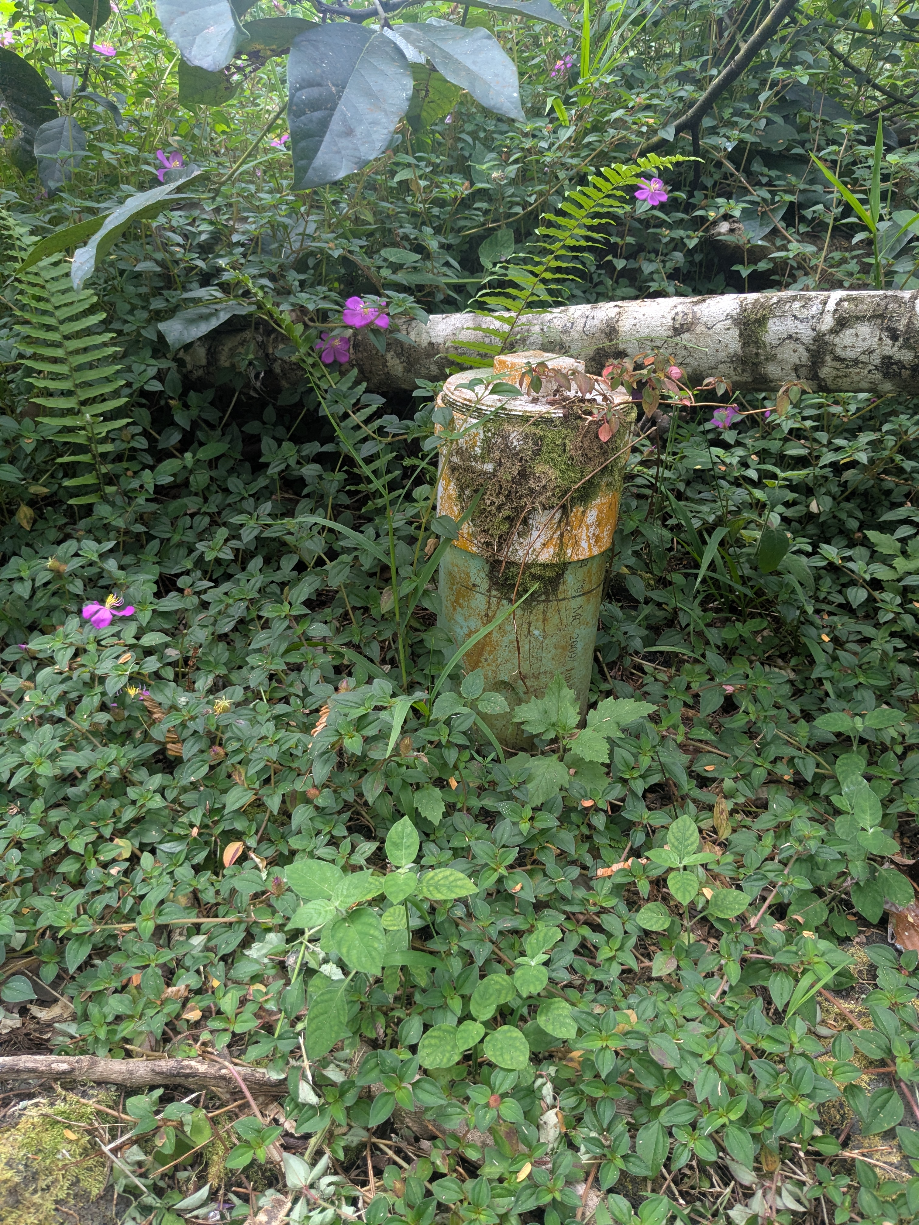 Pakalana Rd Property Photo 6