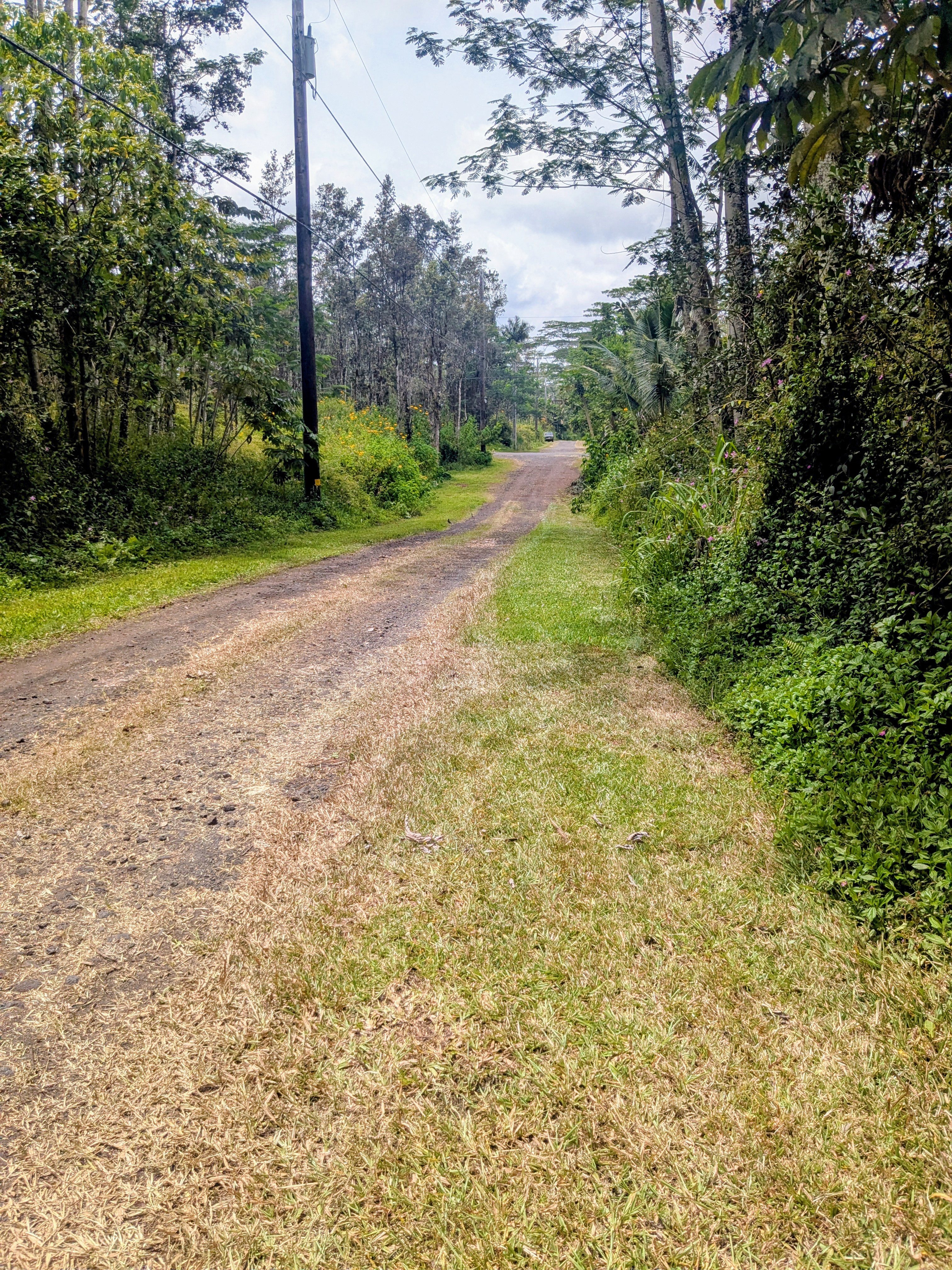 Pakalana Rd Property Photo 8