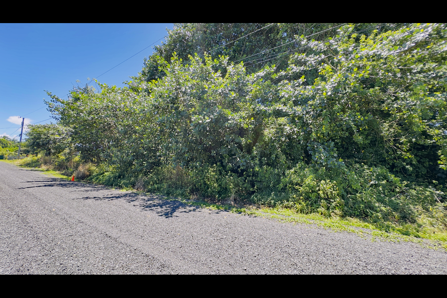 15-1358 17th Ave Property Photo 5