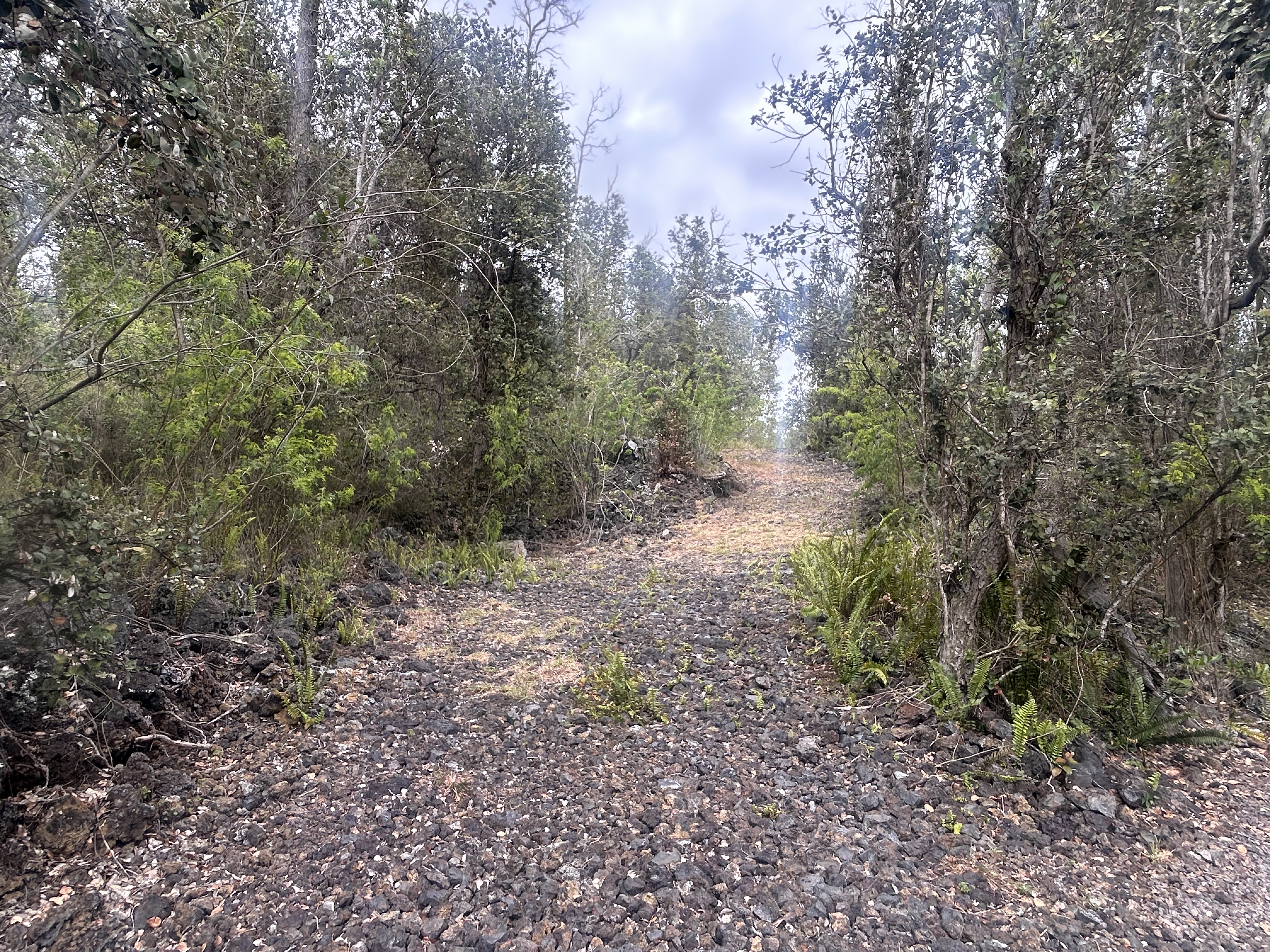 92-8712 King Kamehameha Blvd Property Photo 5