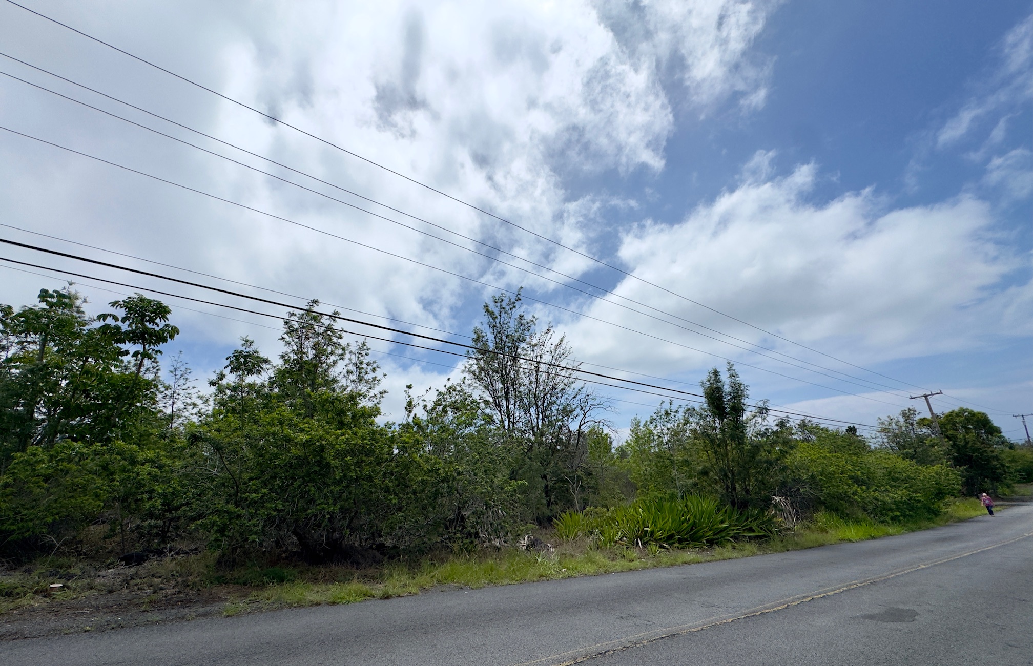 King Kamehamhea Blvd Property Photo 2