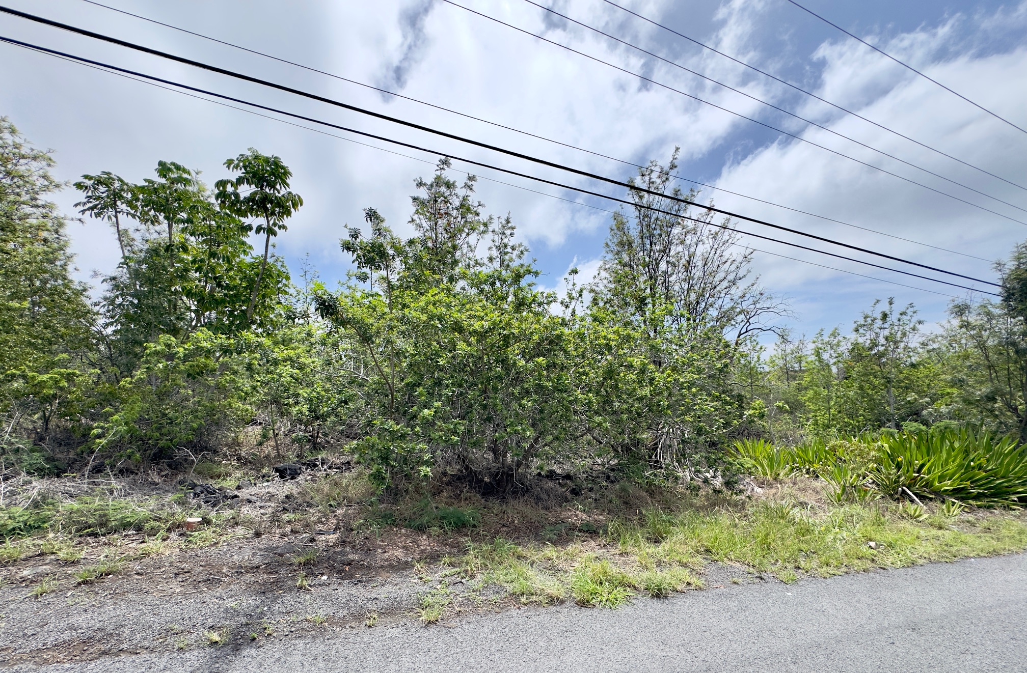 King Kamehamhea Blvd Property Photo 4