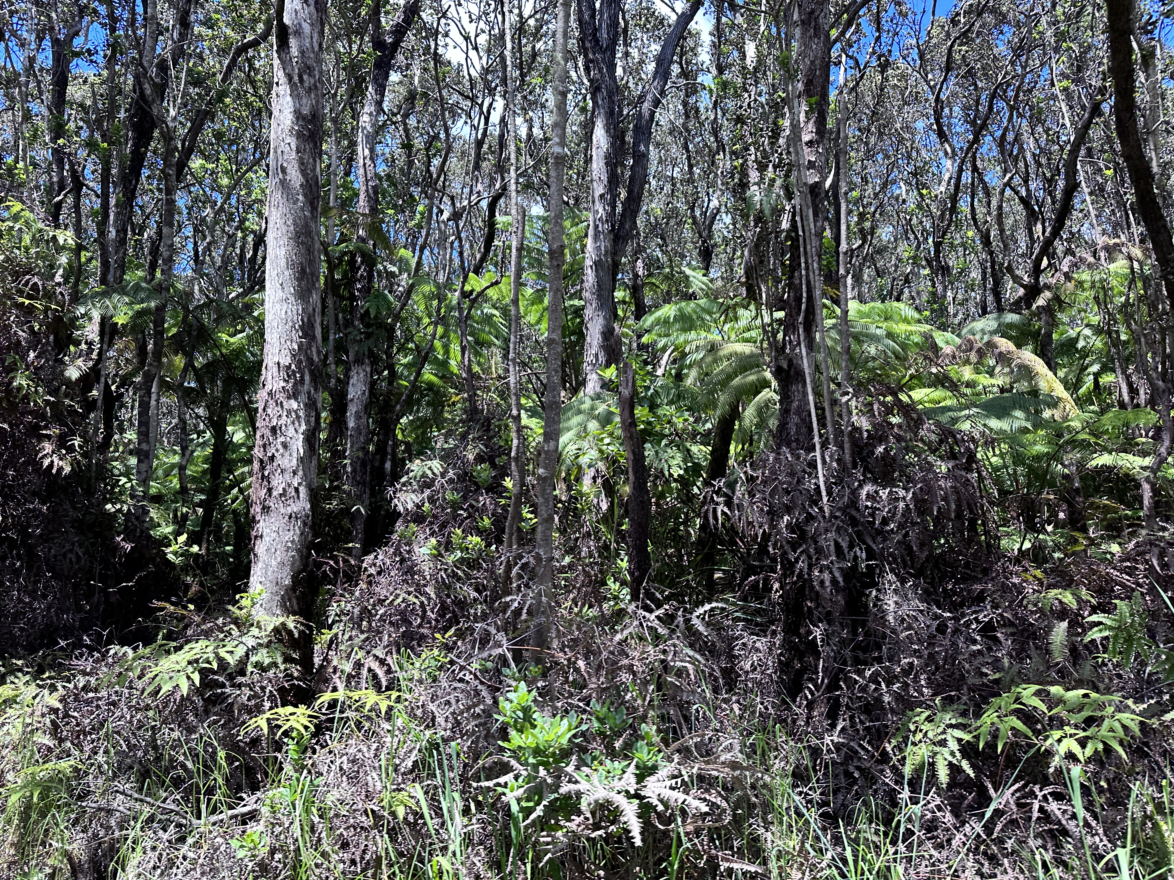 Road 3 (hopue) Property Photo 1